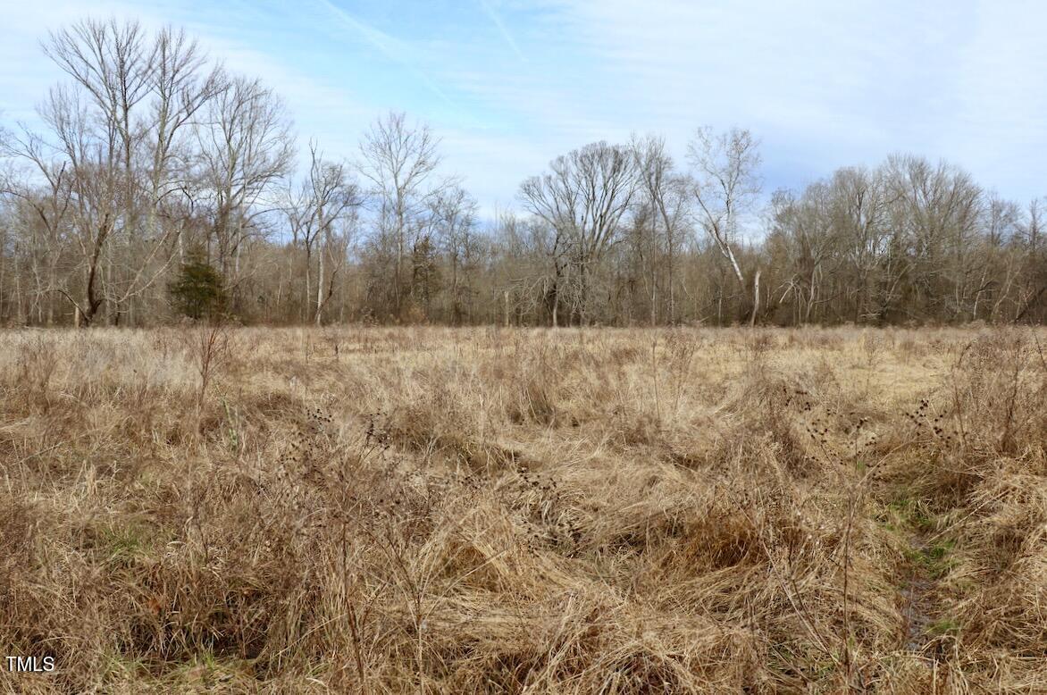 01 Longs Mill Road Property Photo 20