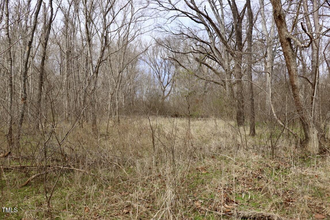 01 Longs Mill Road Property Photo 21