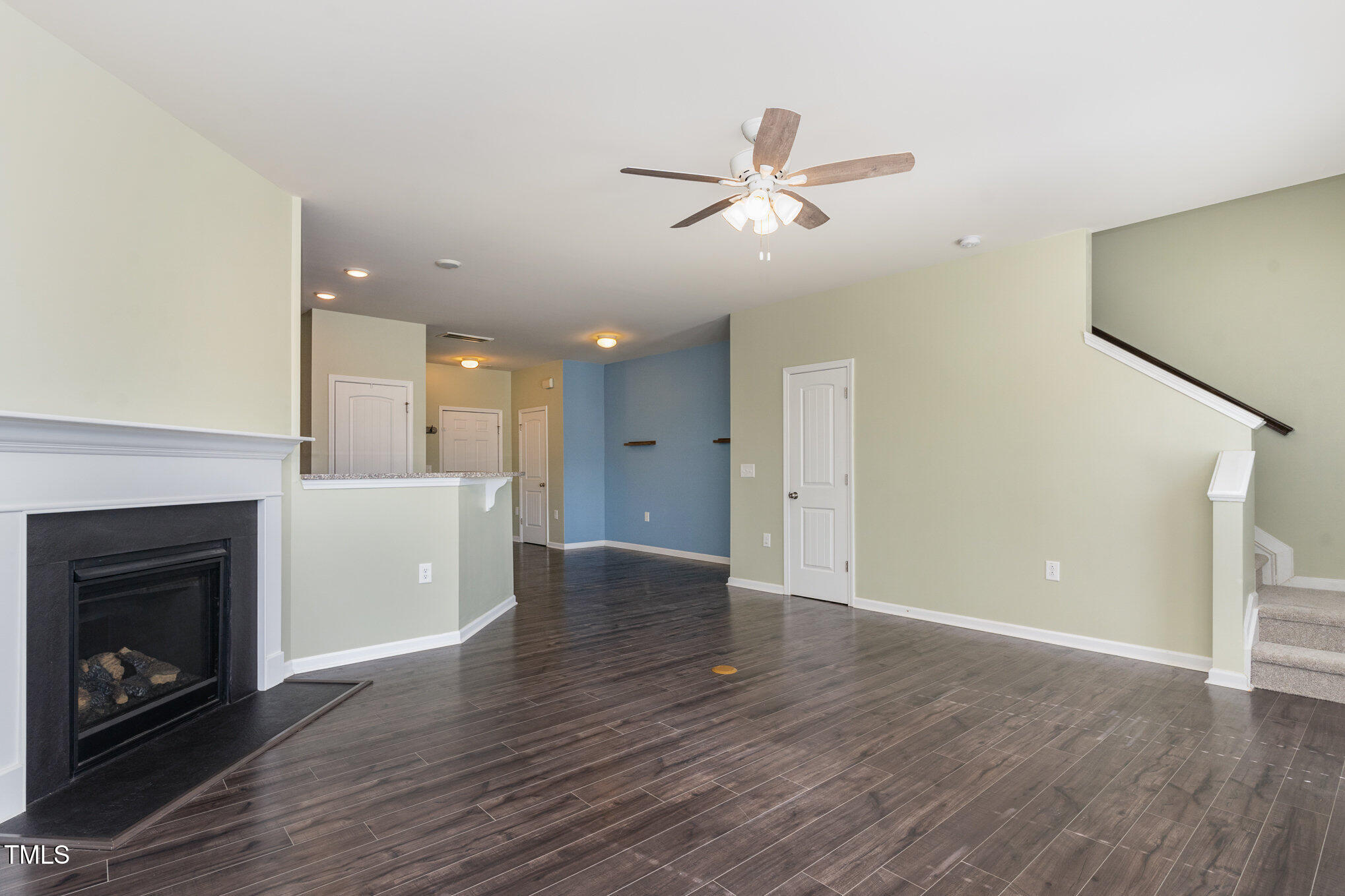 1009 Laceflower Drive Property Photo 4
