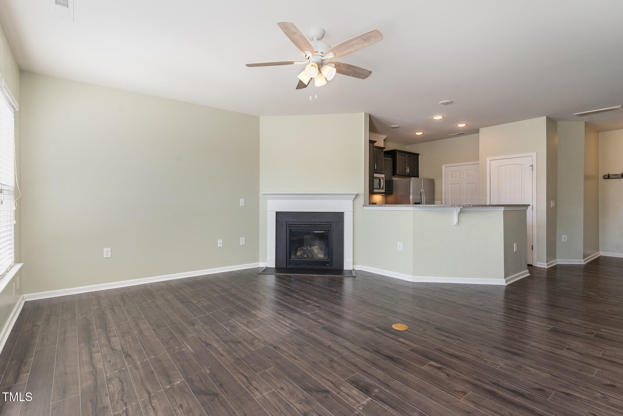 1009 Laceflower Drive Property Photo 5