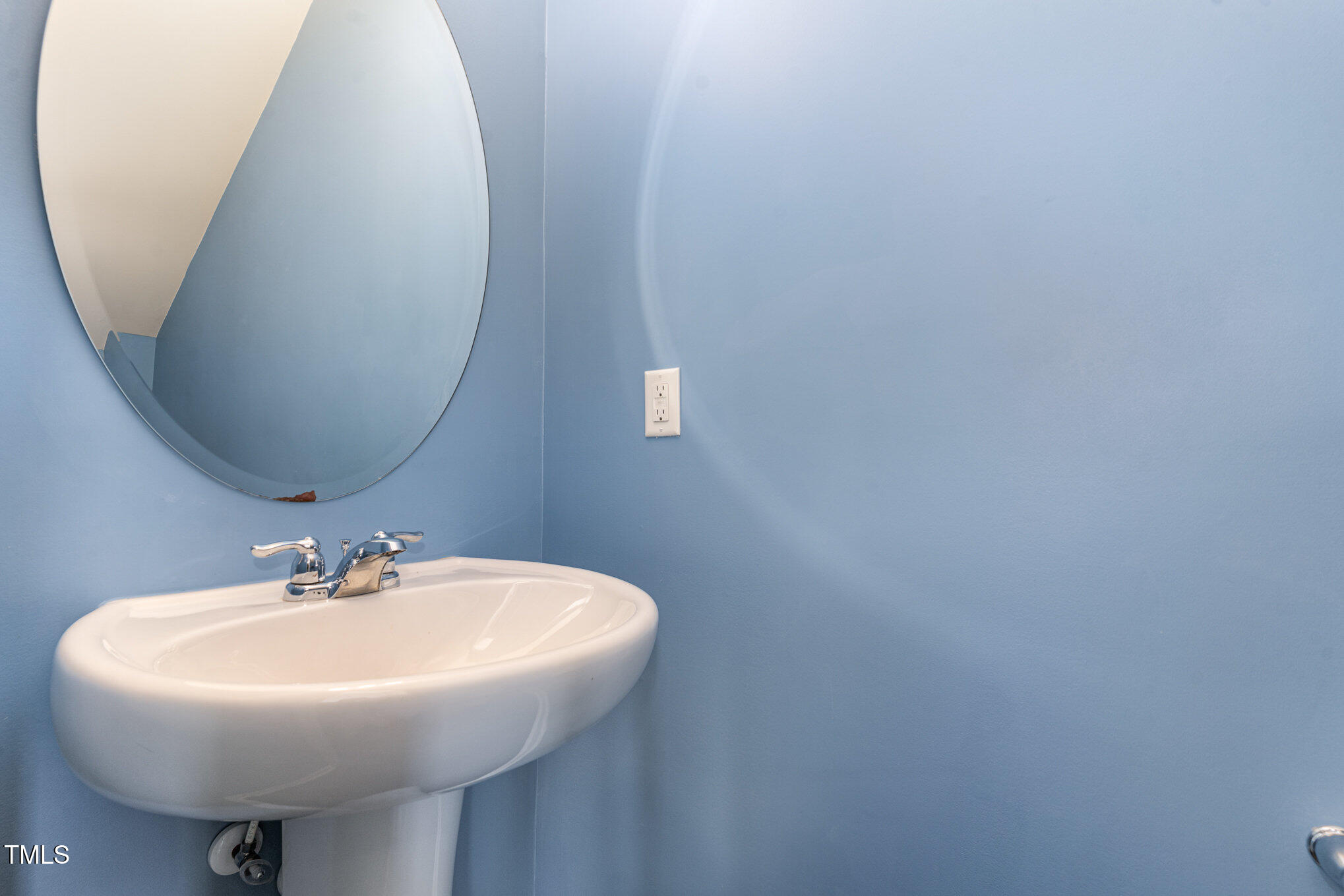 1009 Laceflower Drive Property Photo 9