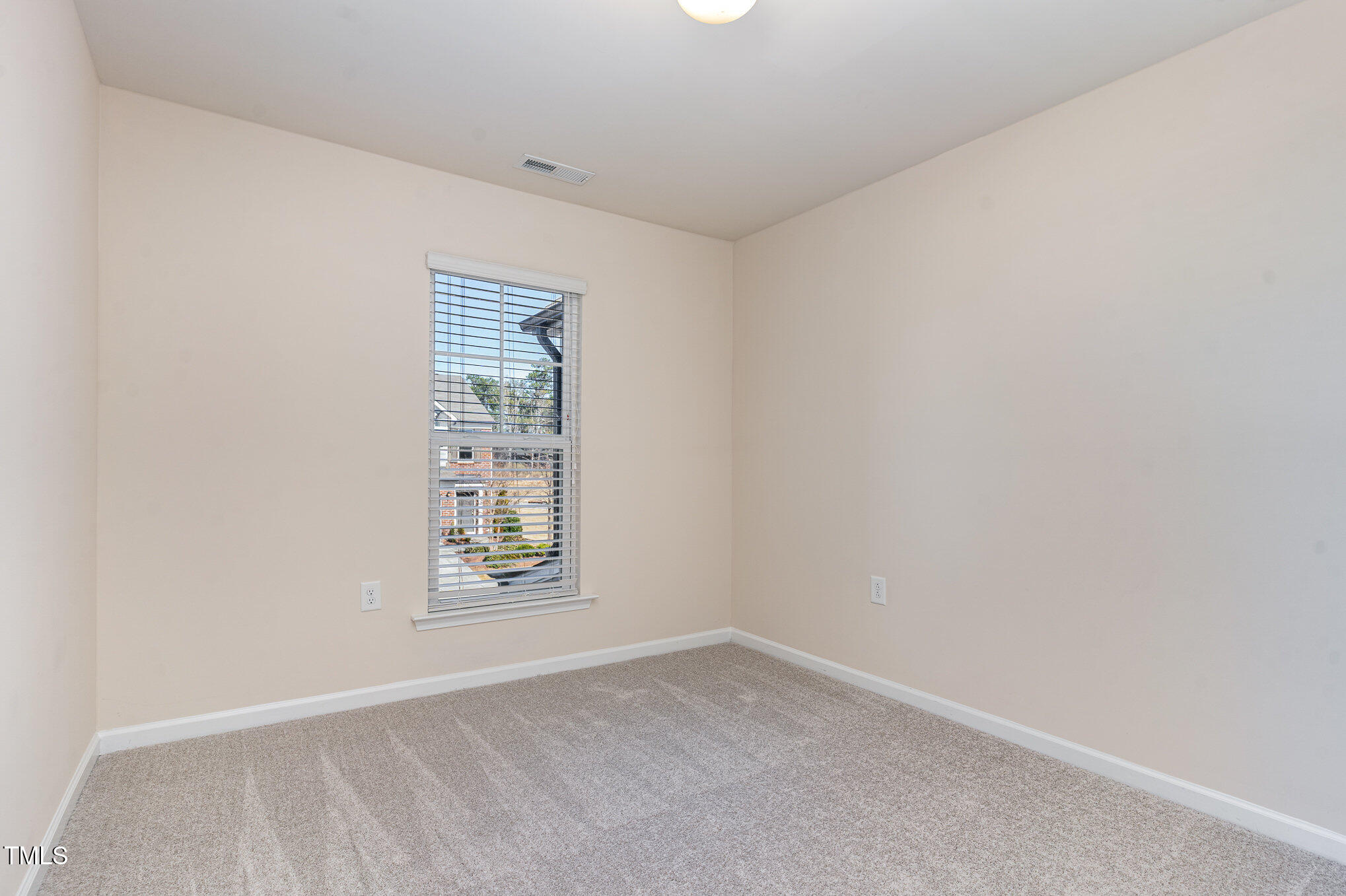 1009 Laceflower Drive Property Photo 17