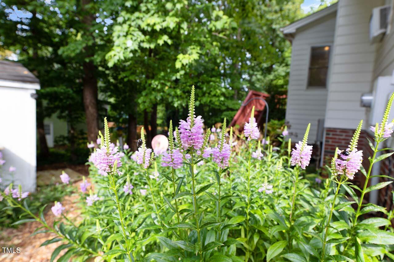 303 Cary Pines Drive Property Photo 23