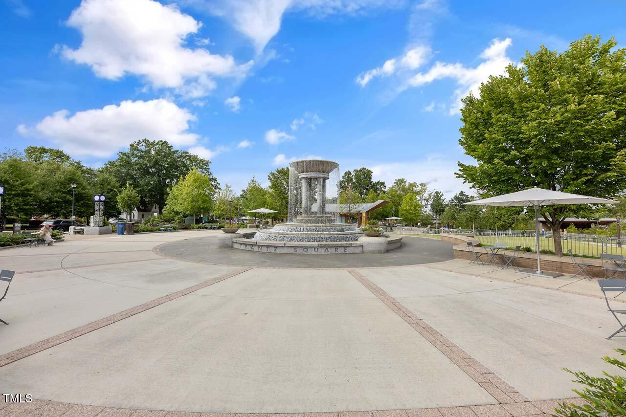 303 Cary Pines Drive Property Photo 28