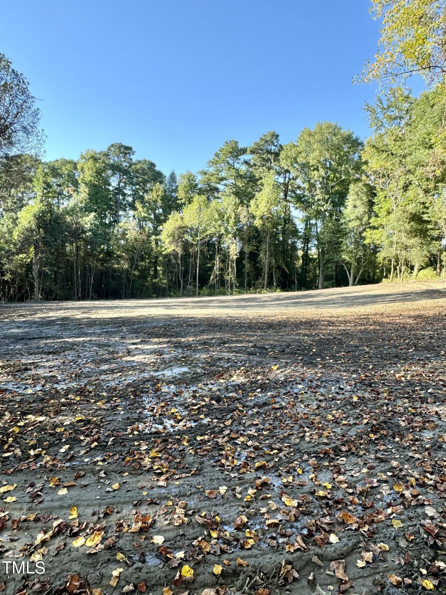 Lot 1 U.s. Hwy 301 S Property Photo
