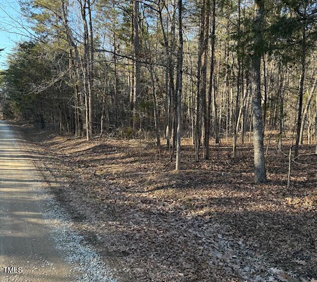 0 Thunder Rd Property Photo 3