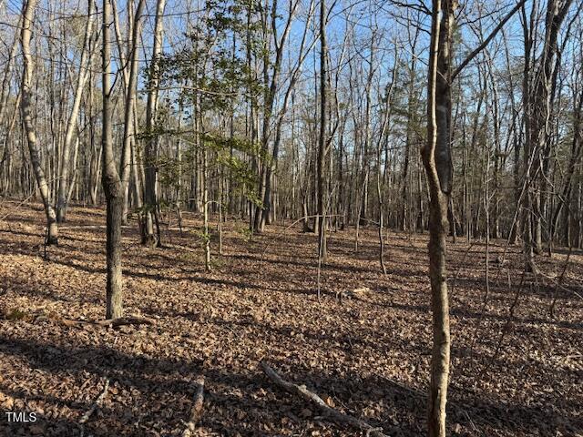 0 Thunder Rd Property Photo 7