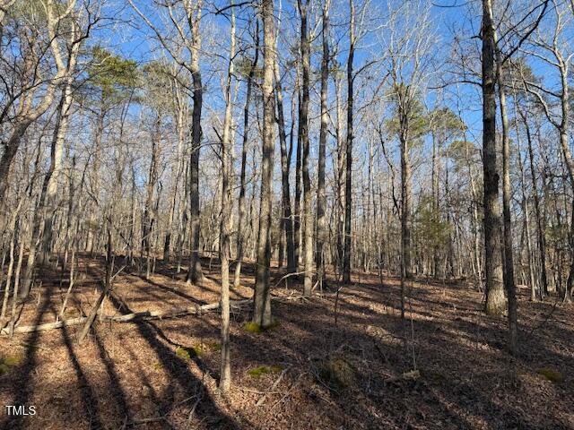 0 Thunder Rd Property Photo 8