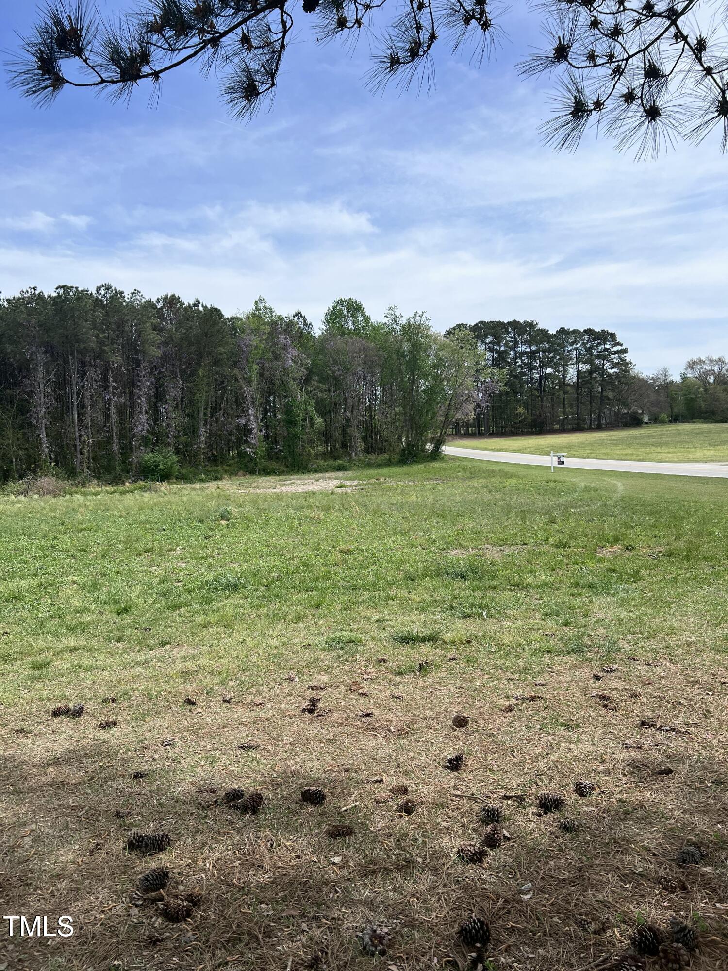 319and307 Wilson Fuller Road Property Photo 7