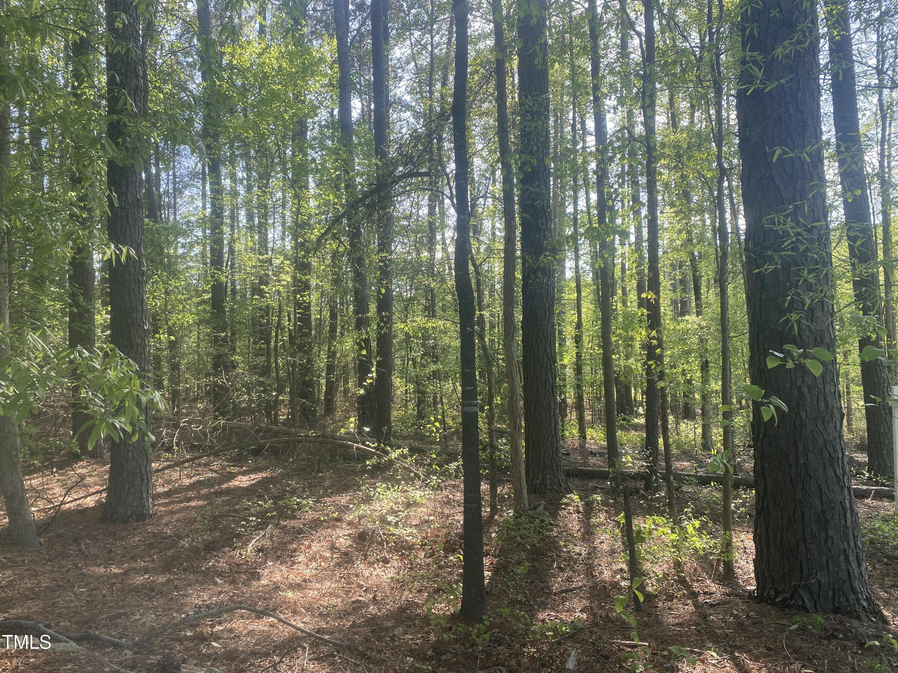 220 Curlew Drive Property Photo 1