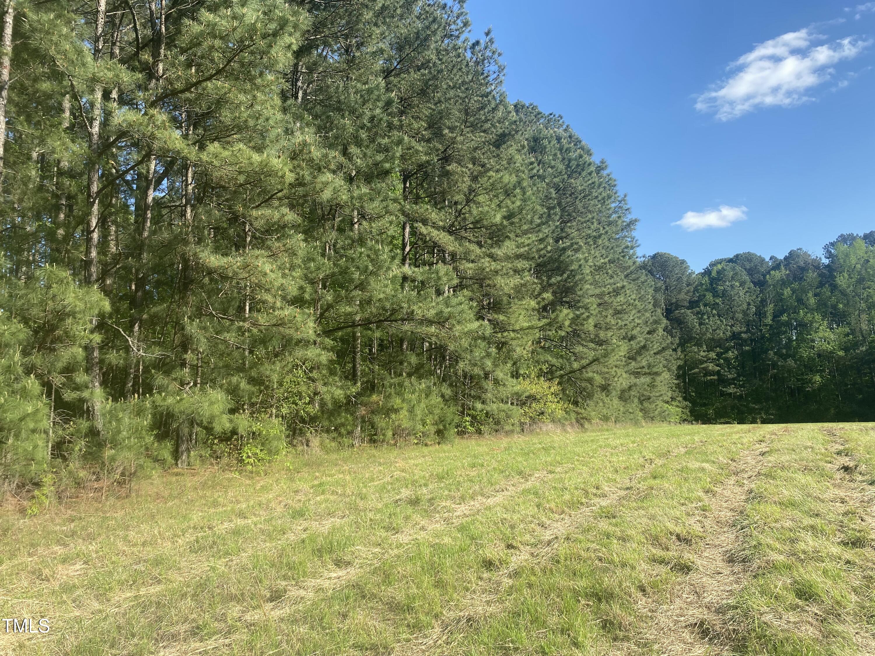220 Curlew Drive Property Photo 3