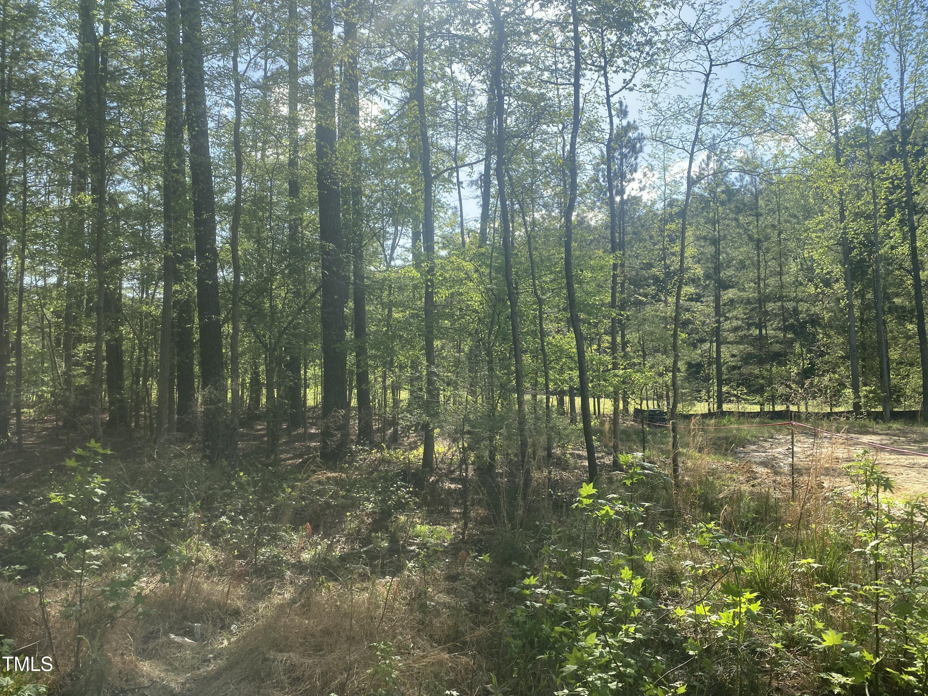 220 Curlew Drive Property Photo 4