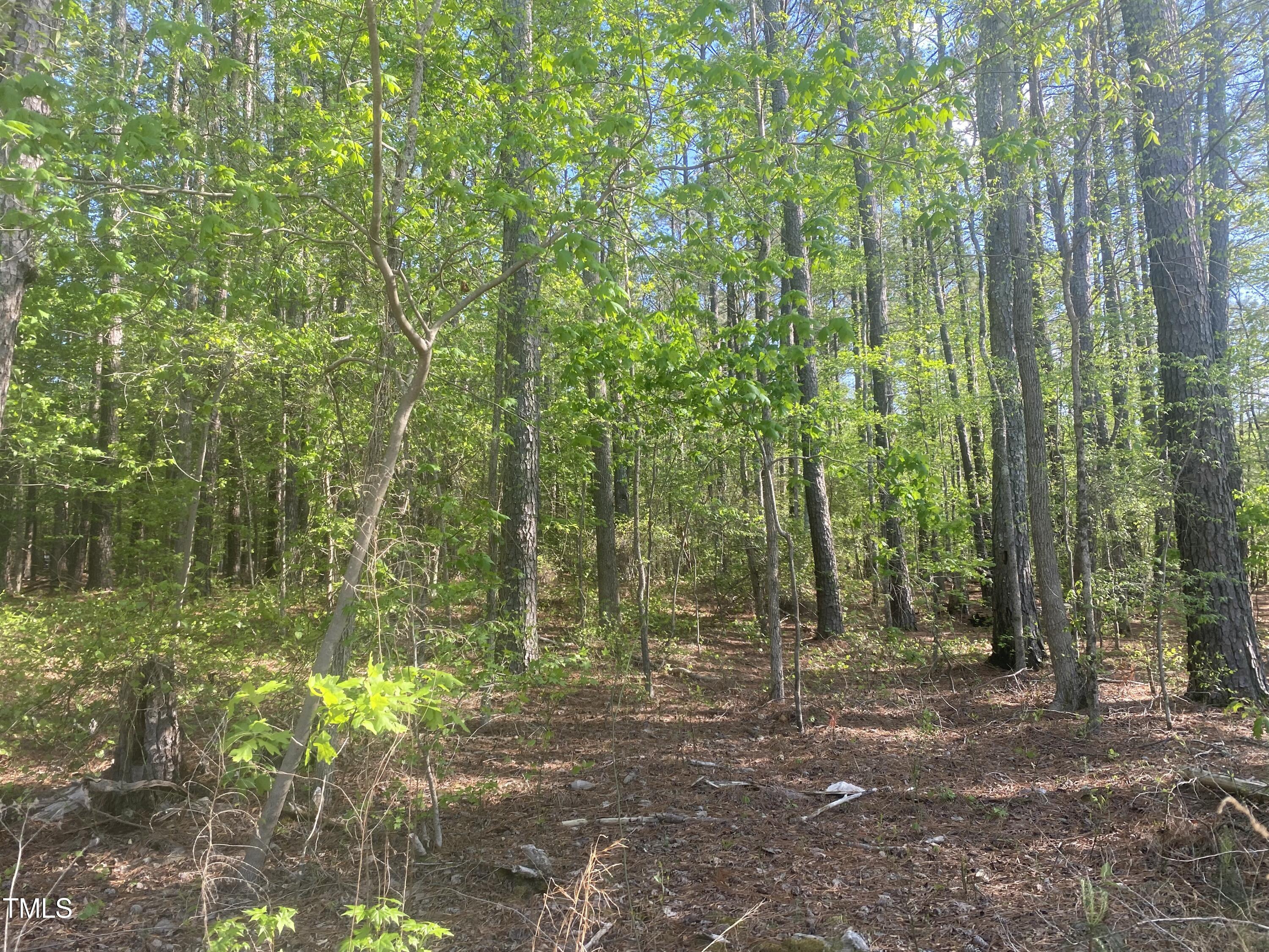 220 Curlew Drive Property Photo 5