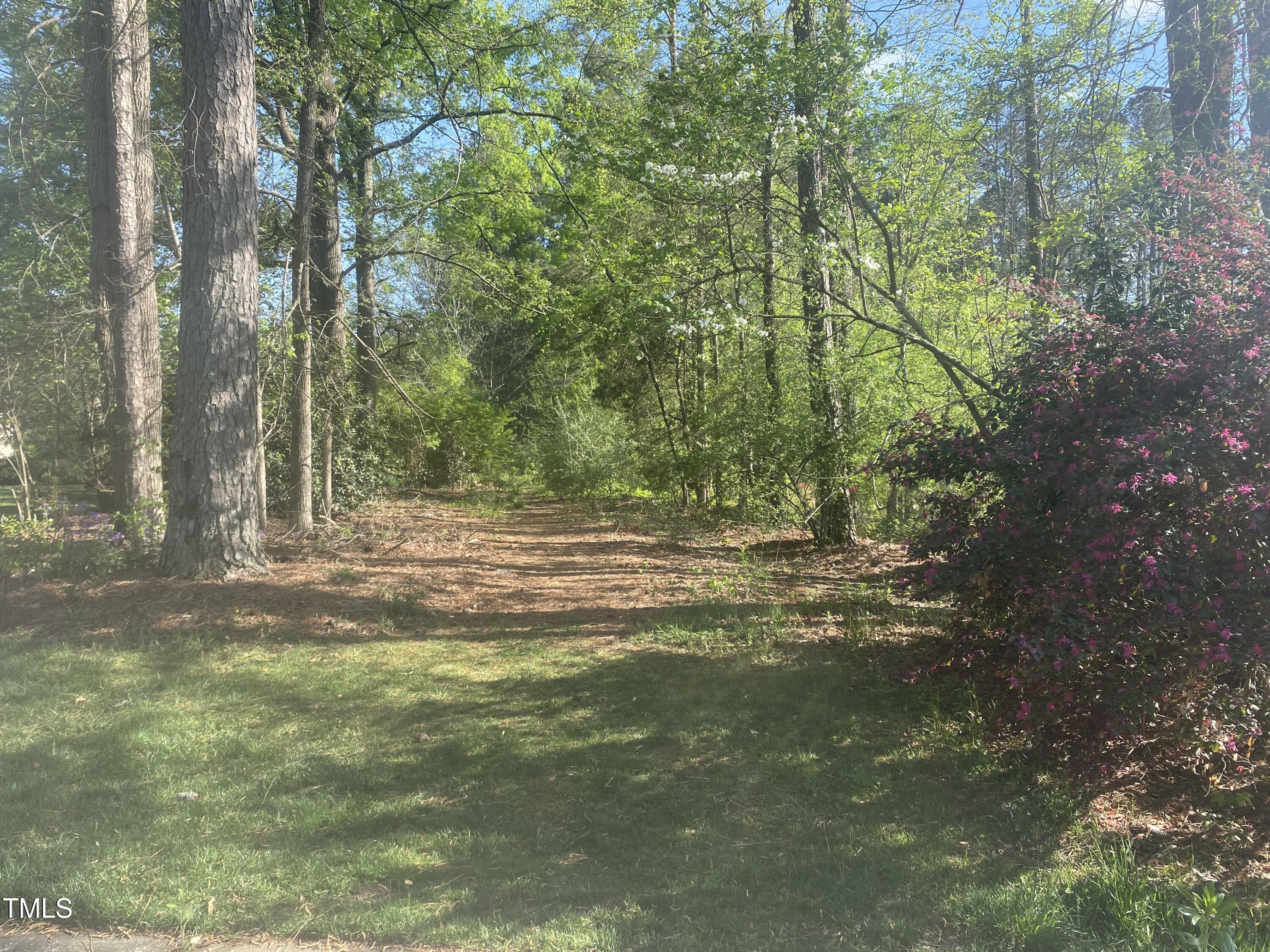 220 Curlew Drive Property Photo 6