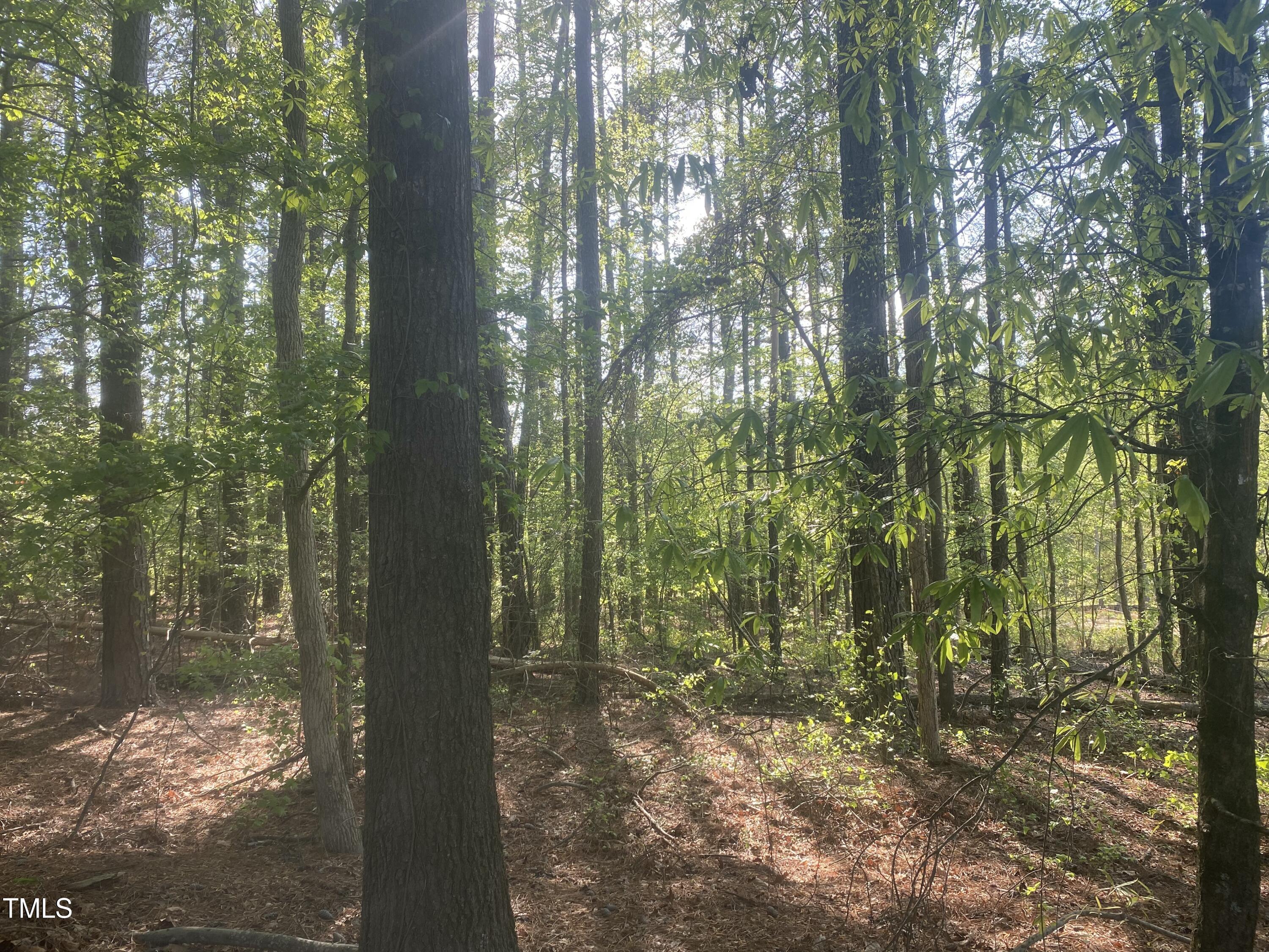 220 Curlew Drive Property Photo 9