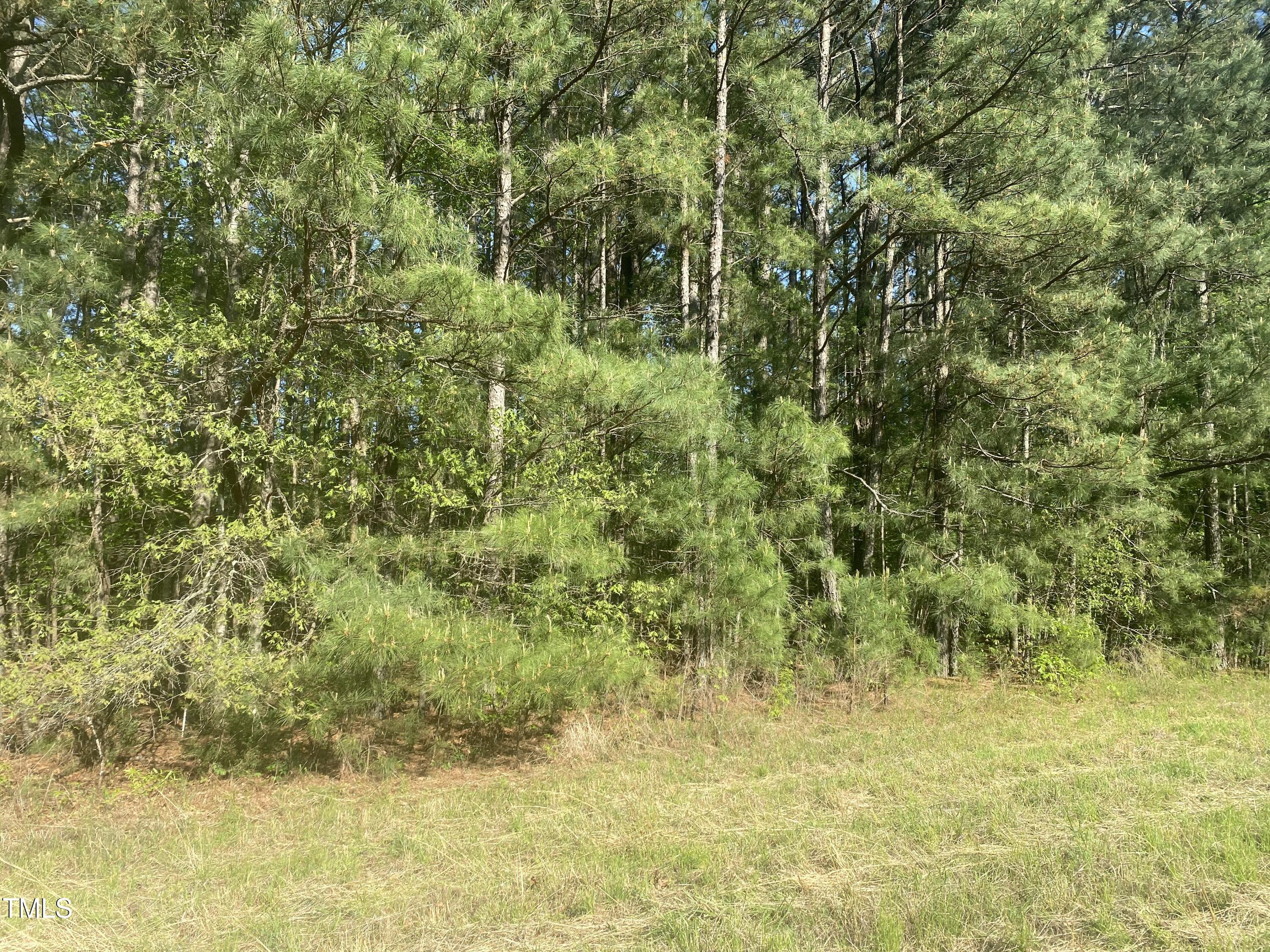 220 Curlew Drive Property Photo 10