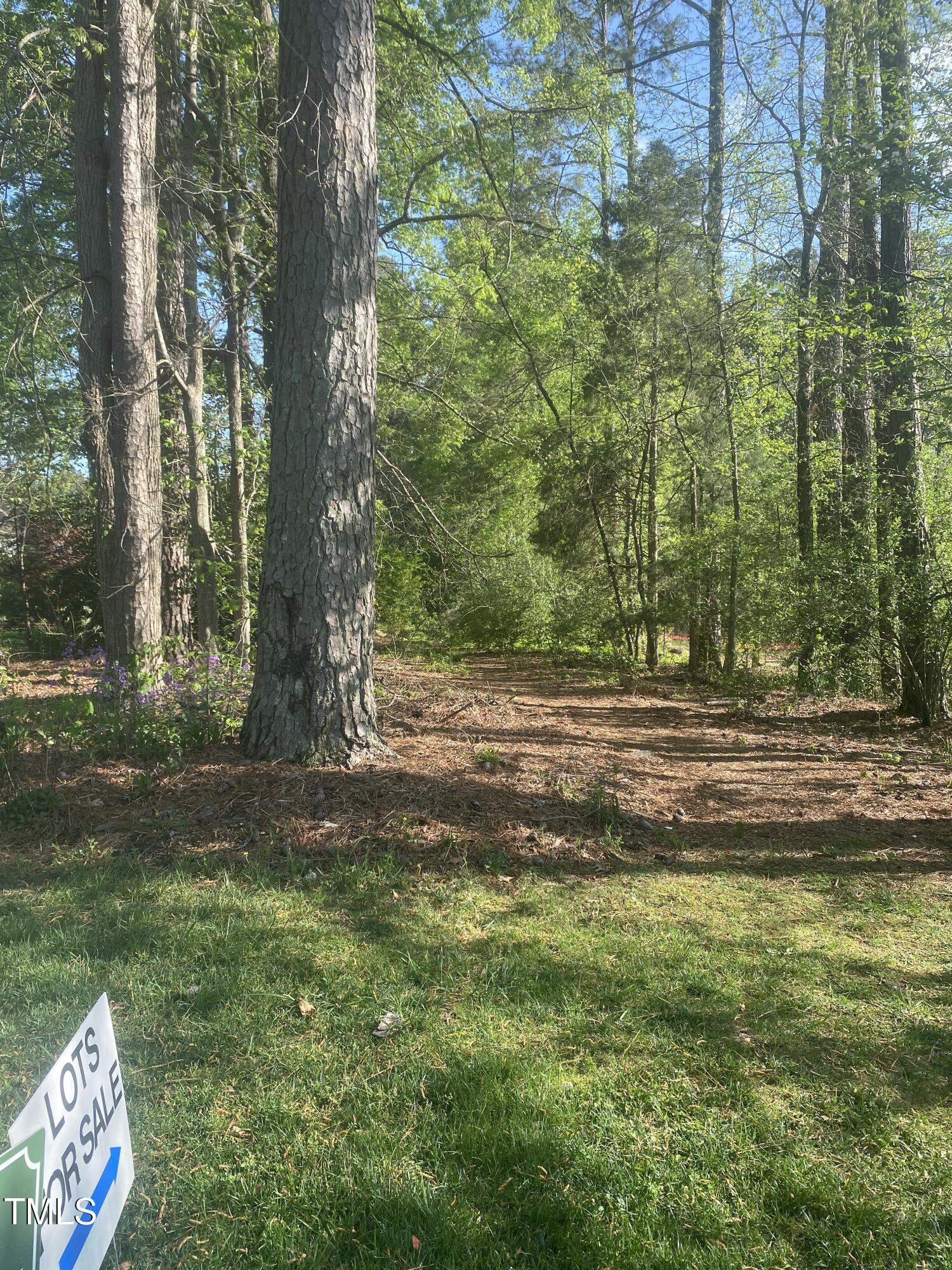 220 Curlew Drive Property Photo 11