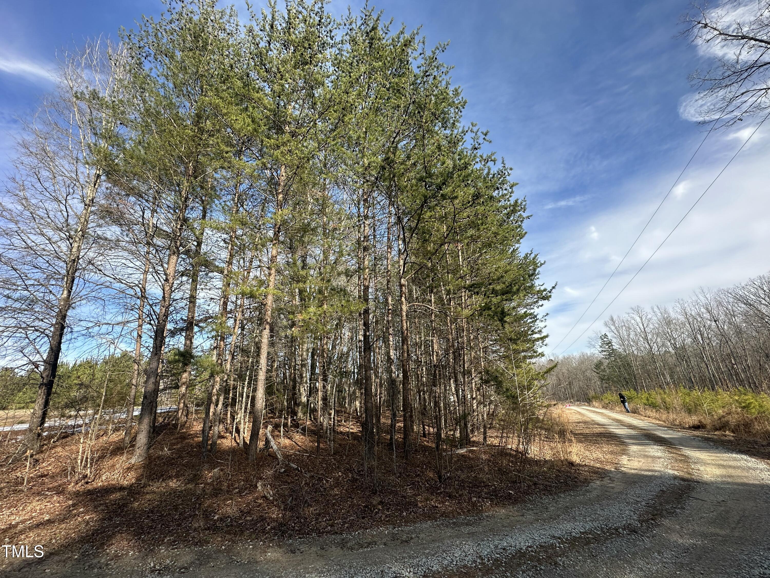 2a Cousin Road Property Photo 3