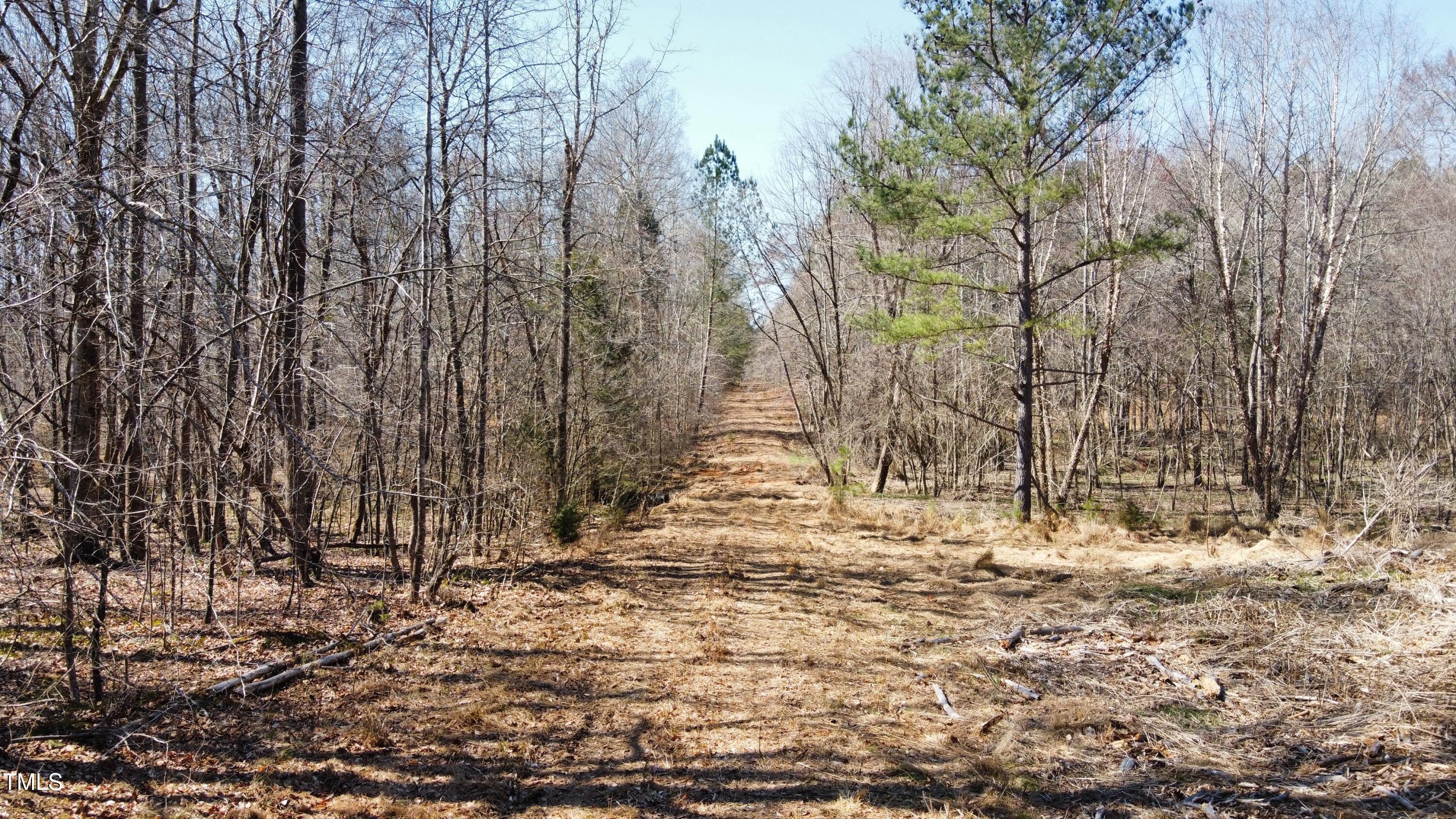 000 Nicks Road Property Photo 4