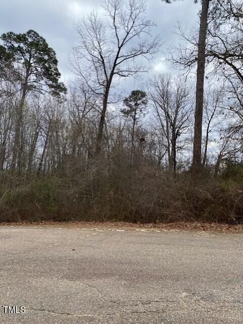 58 Brookview Court Property Photo 2