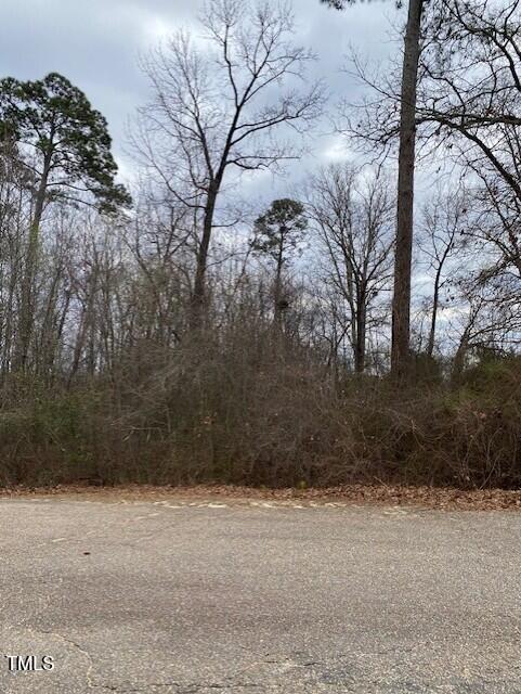 58 Brookview Court Property Photo 3