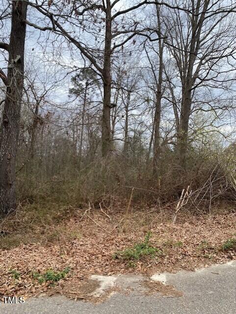 58 Brookview Court Property Photo 4