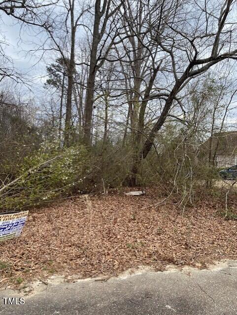 58 Brookview Court Property Photo 6