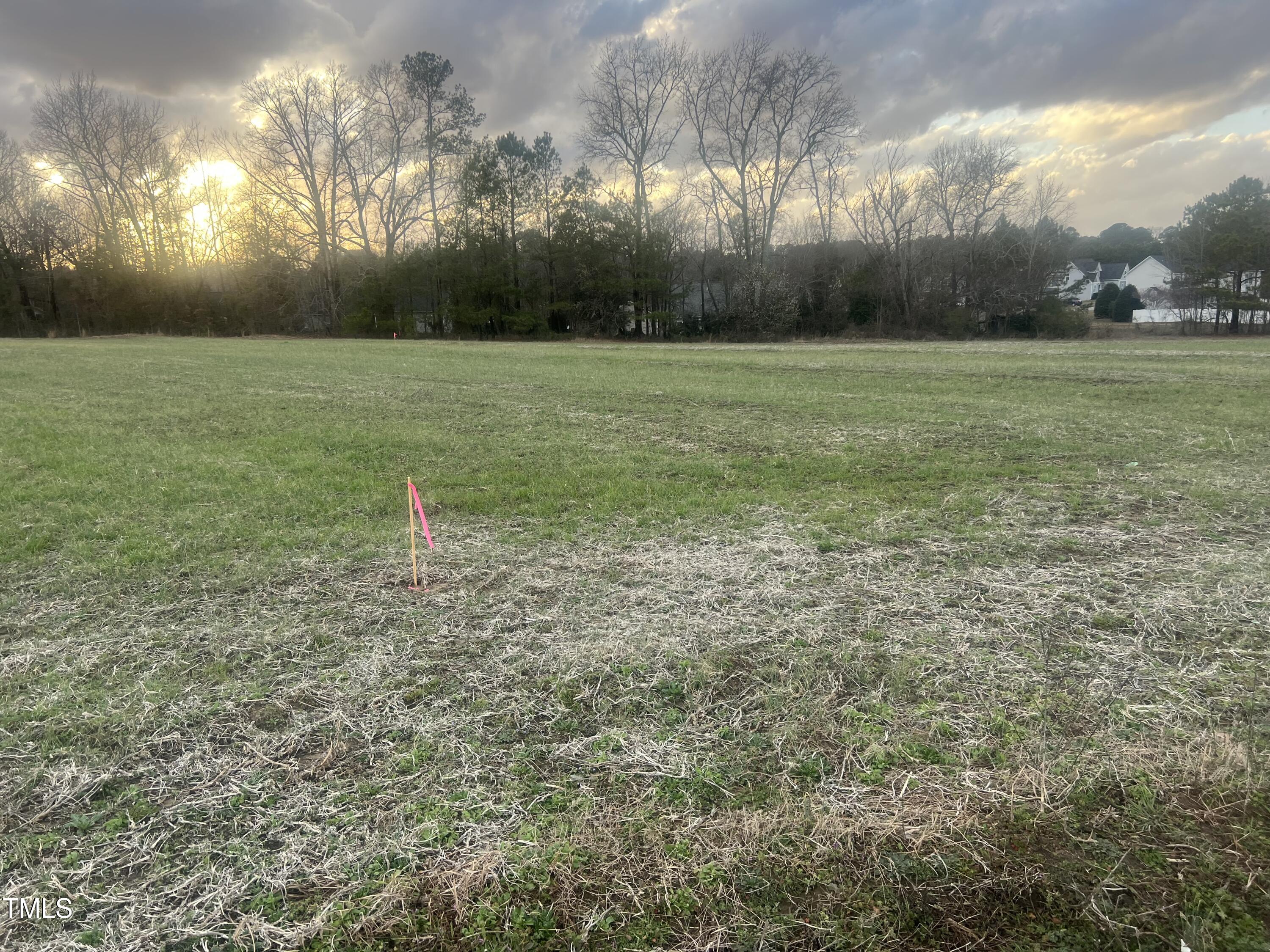 175 White Memorial Road Property Photo 3