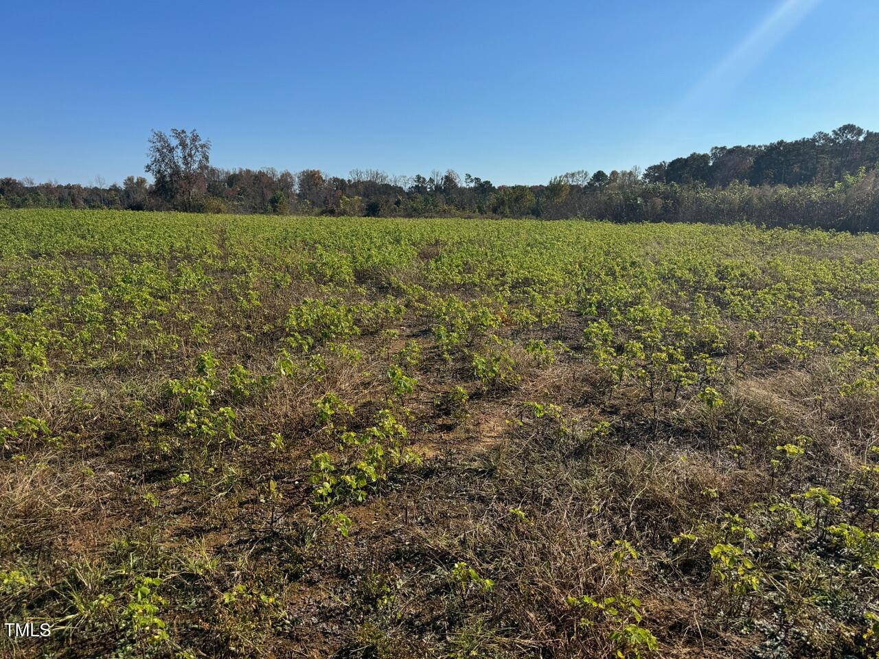9485 Lot 4 N C 39 Hwy Property Photo 1