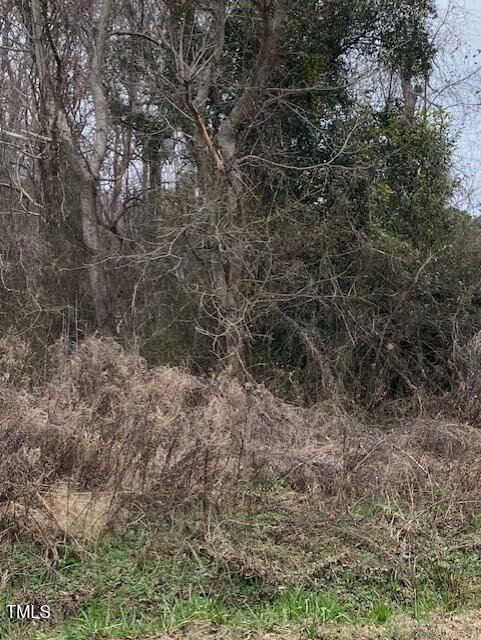 260 Baileys Crossroads Road Property Photo 3