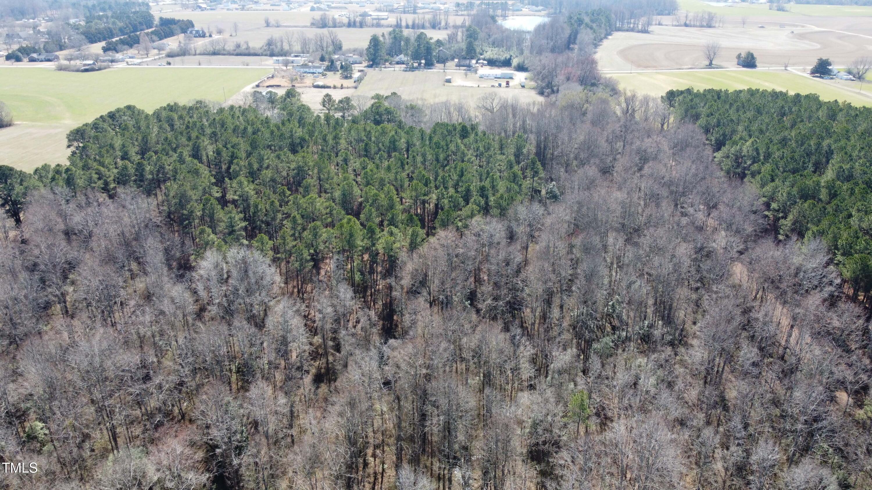 260 Baileys Crossroads Road Property Photo 12