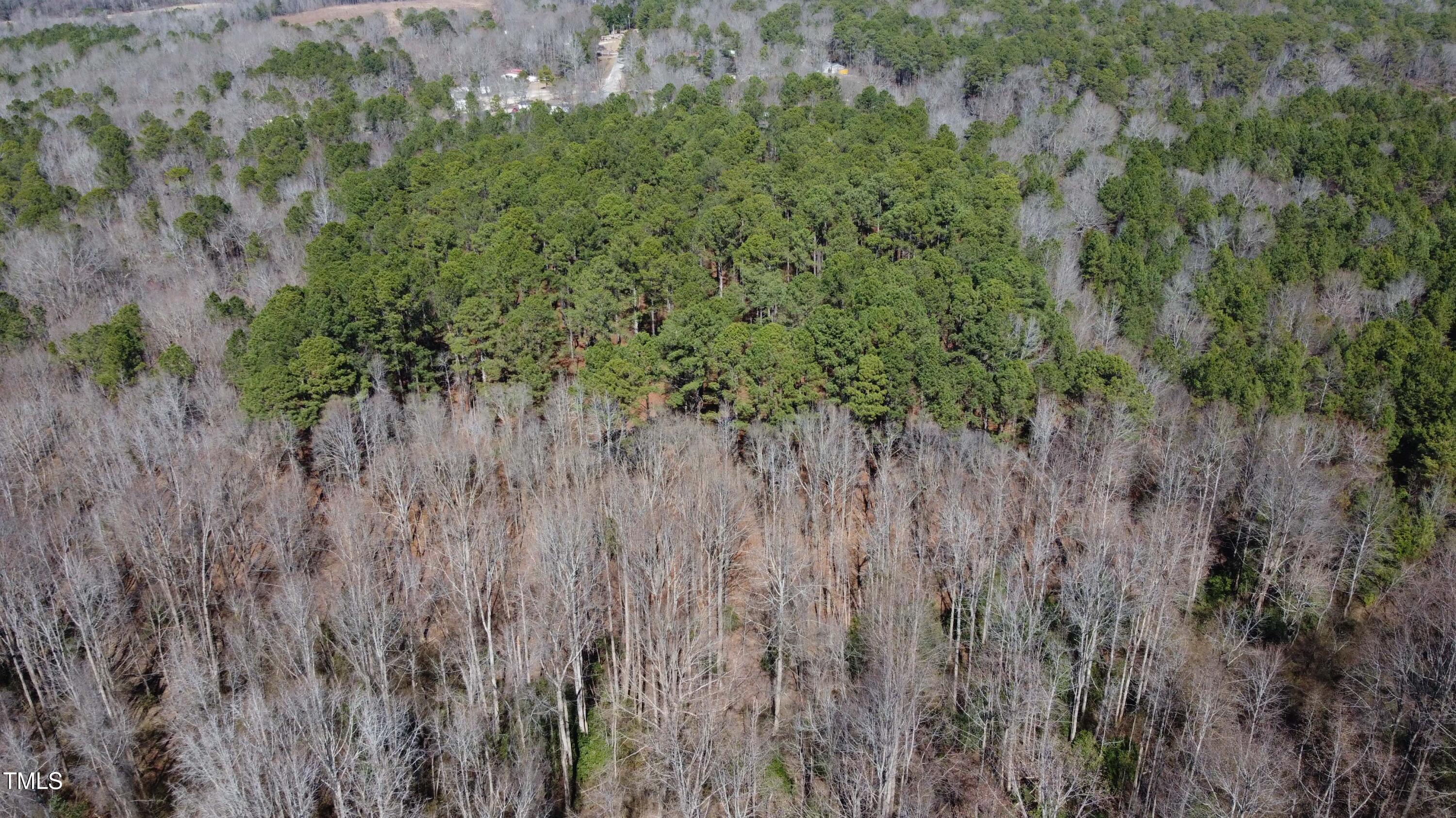 260 Baileys Crossroads Road Property Photo 13