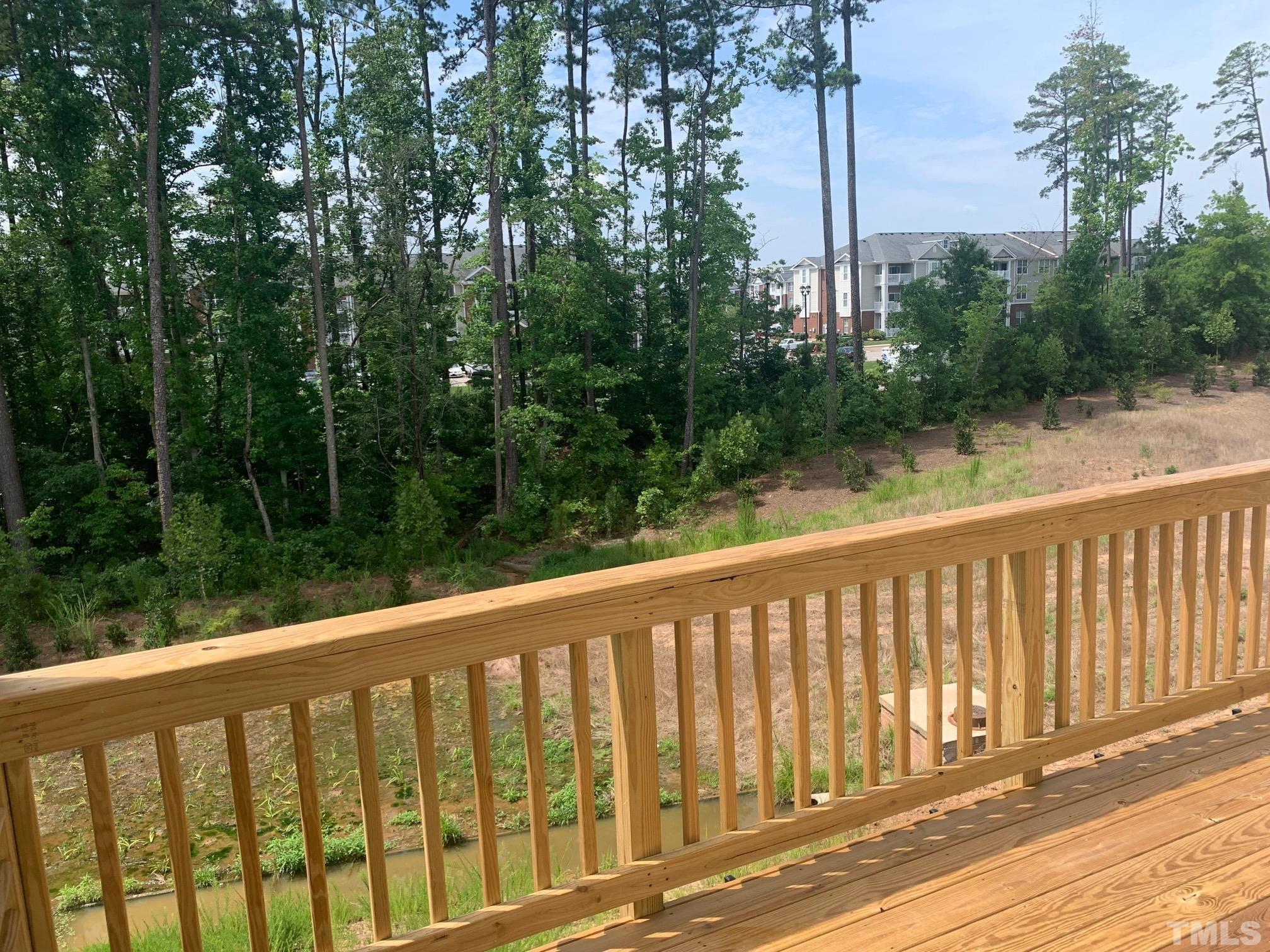 1309 Falling Rock Place Property Photo 18