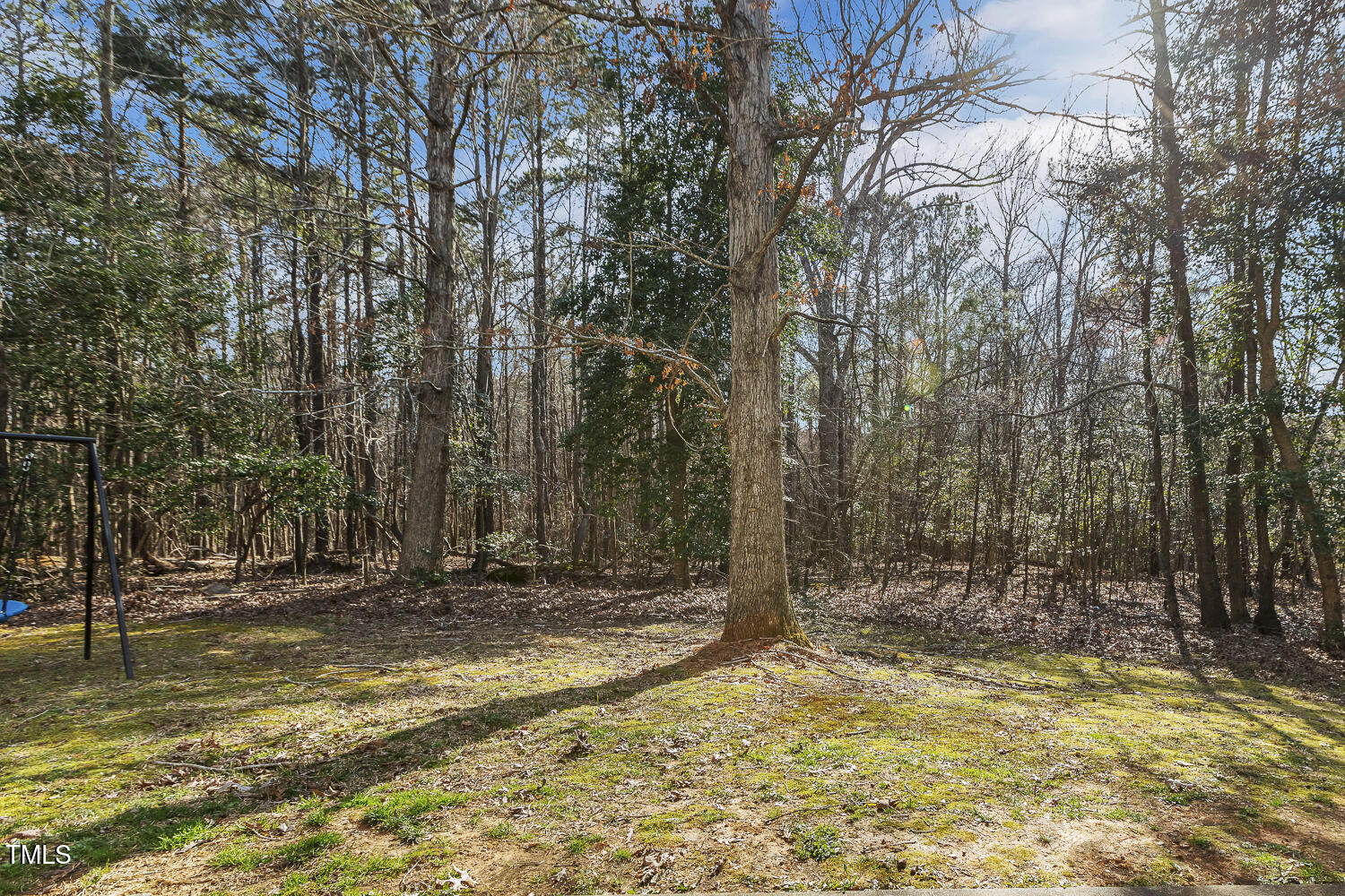 201 Timber Meadow Lake Property Photo 54