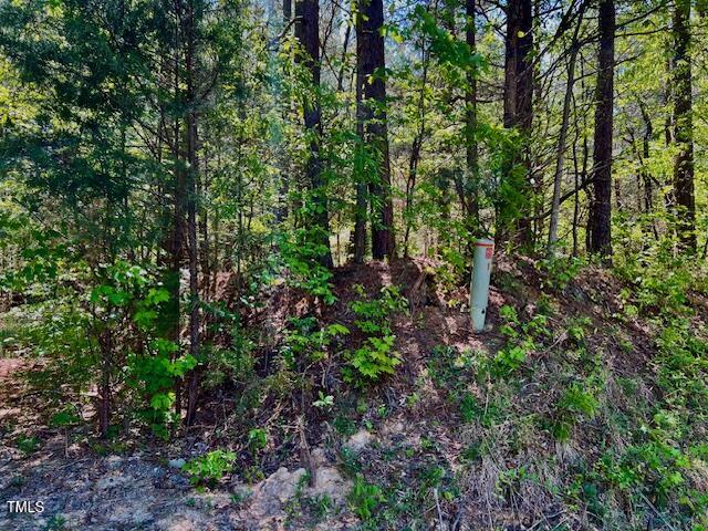 00 Us 158 Business Highway Property Photo