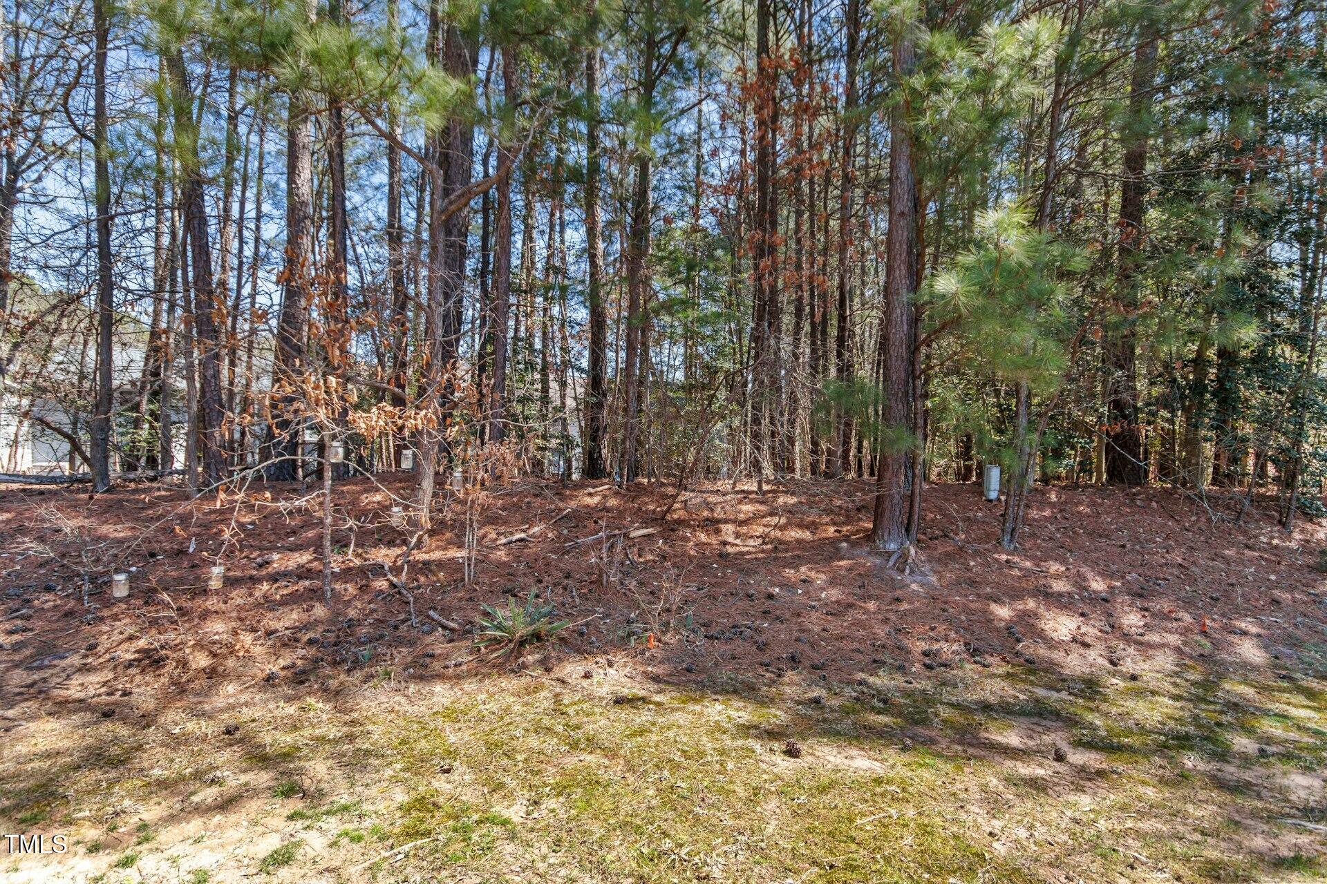 20 Sunflower Court Property Photo 25