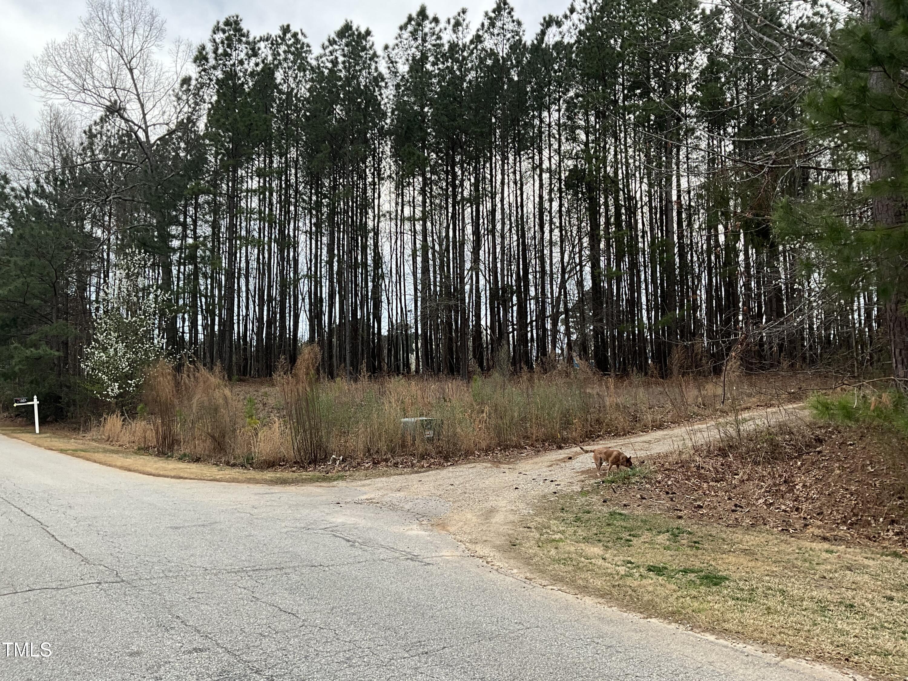 8316 Henderson Road Property Photo