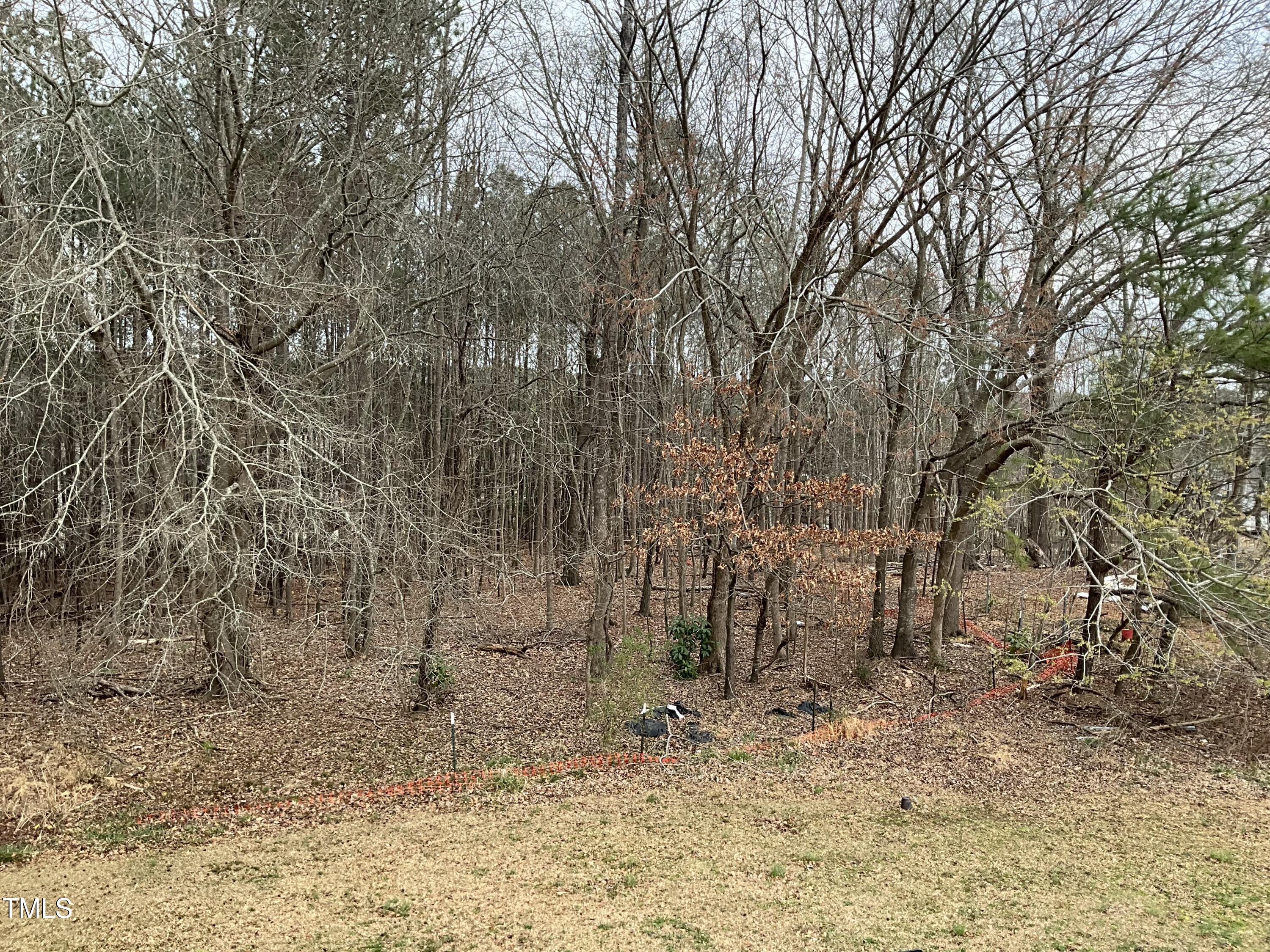 8316 Henderson Road Property Photo 4