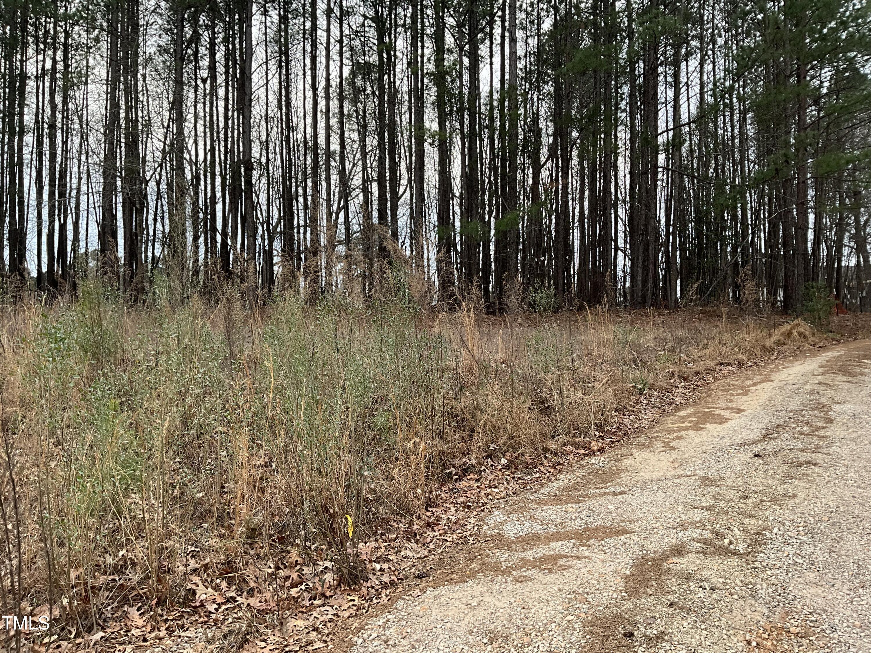 8316 Henderson Road Property Photo 5