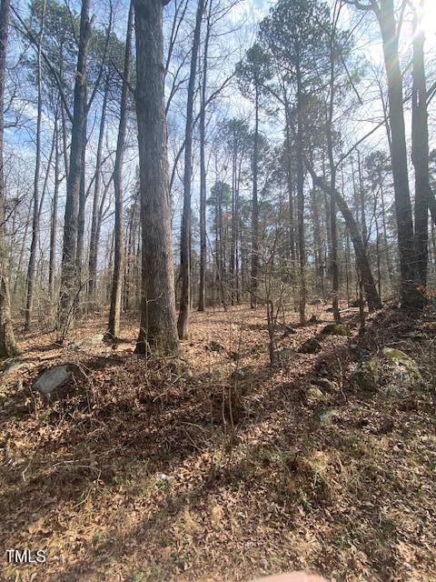 2354 Jones Ferry Road Property Photo 3