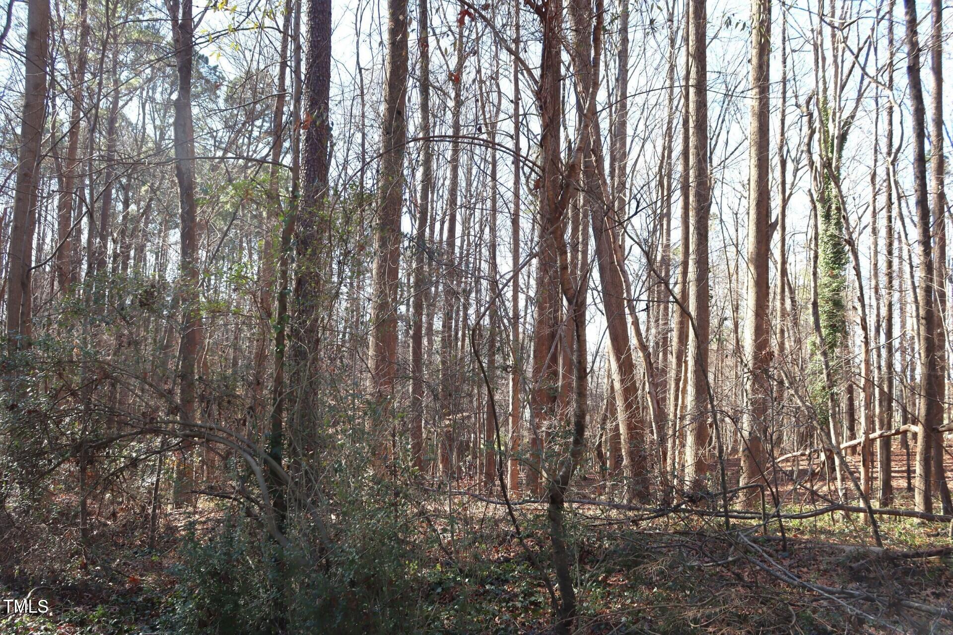 110 Frank Road Property Photo