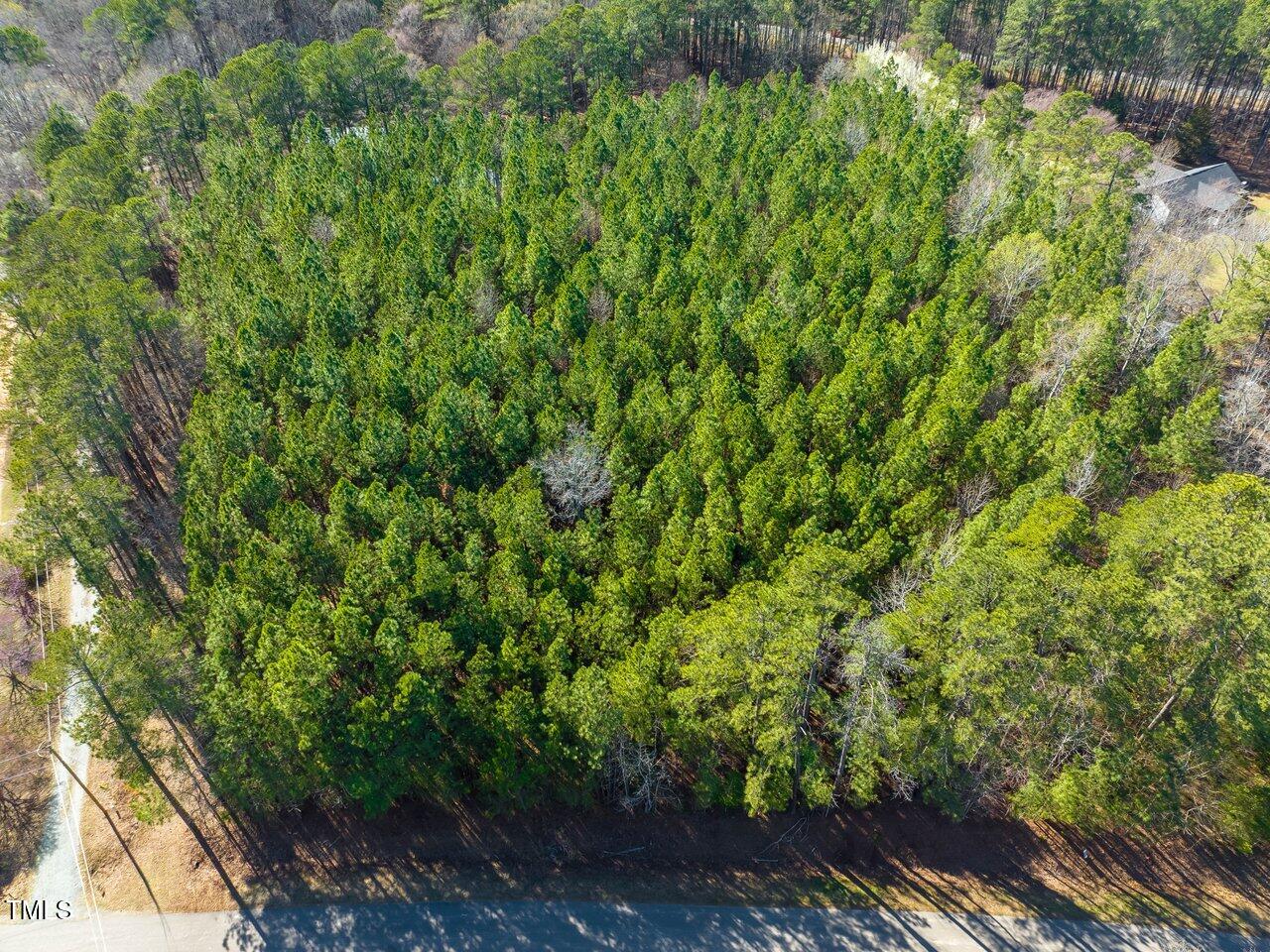 422 Lower Thrift Road Property Photo 5