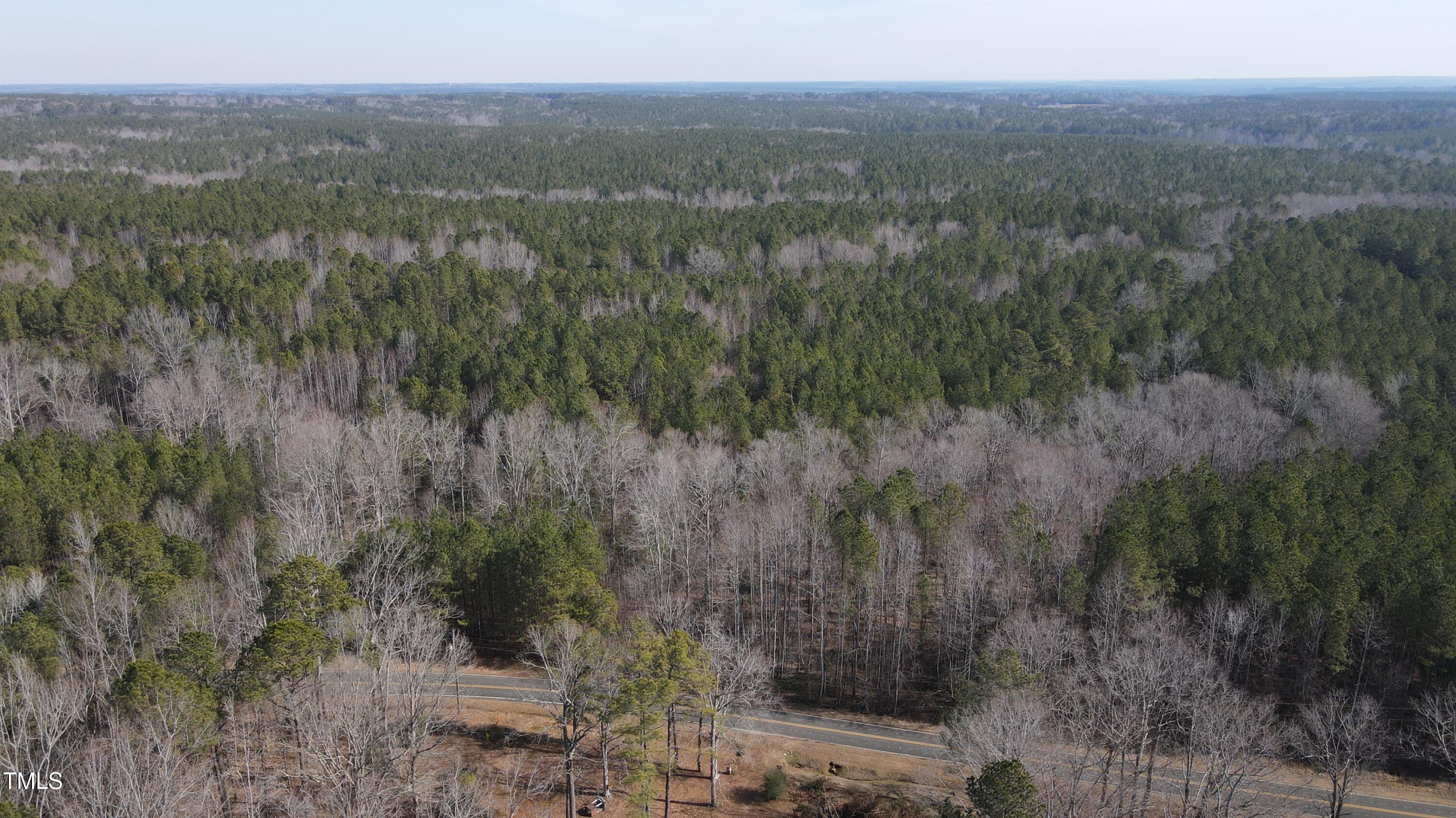 0 Beamon Hunt Road Property Photo 2
