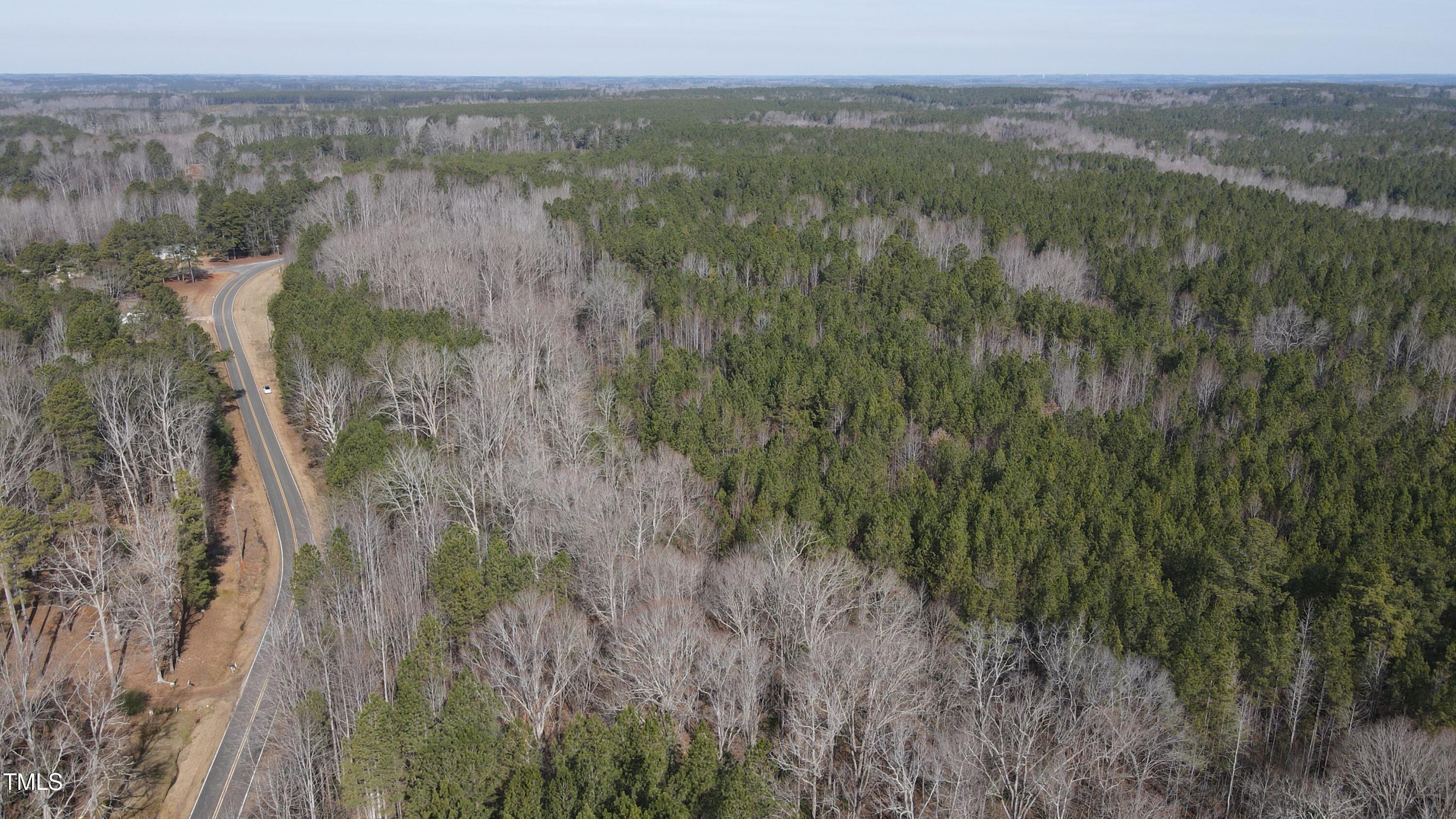 0 Beamon Hunt Road Property Photo 3