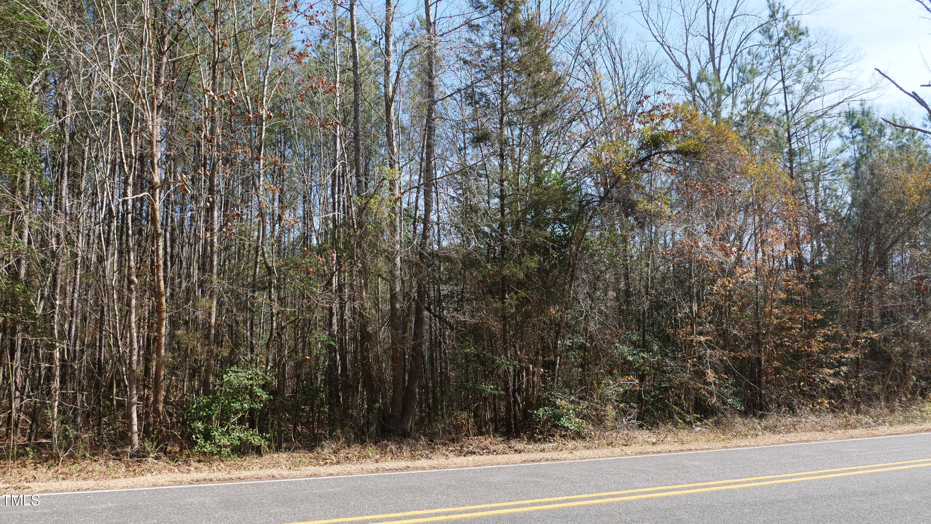 0 Beamon Hunt Road Property Photo 5