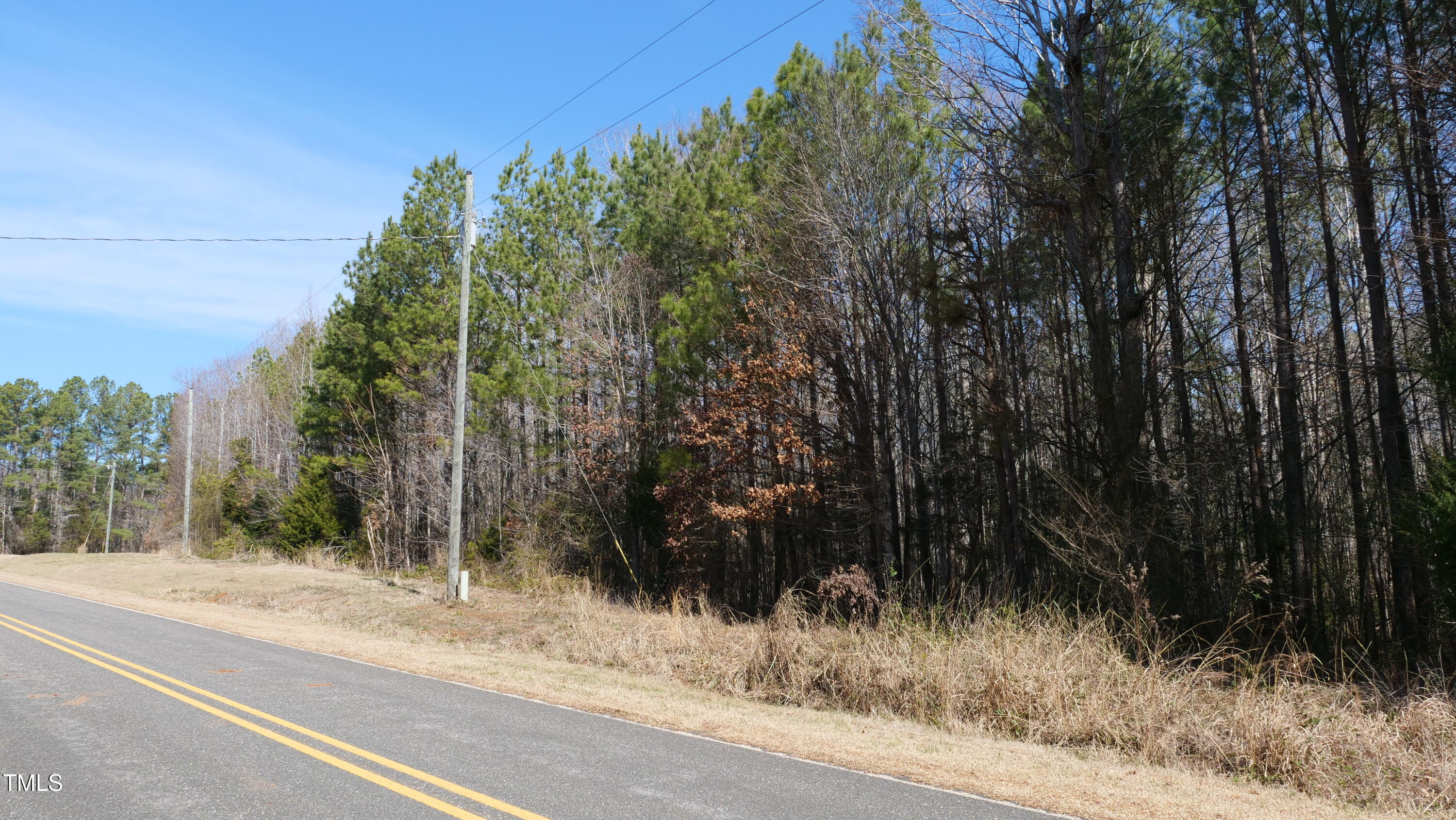 0 Beamon Hunt Road Property Photo 6
