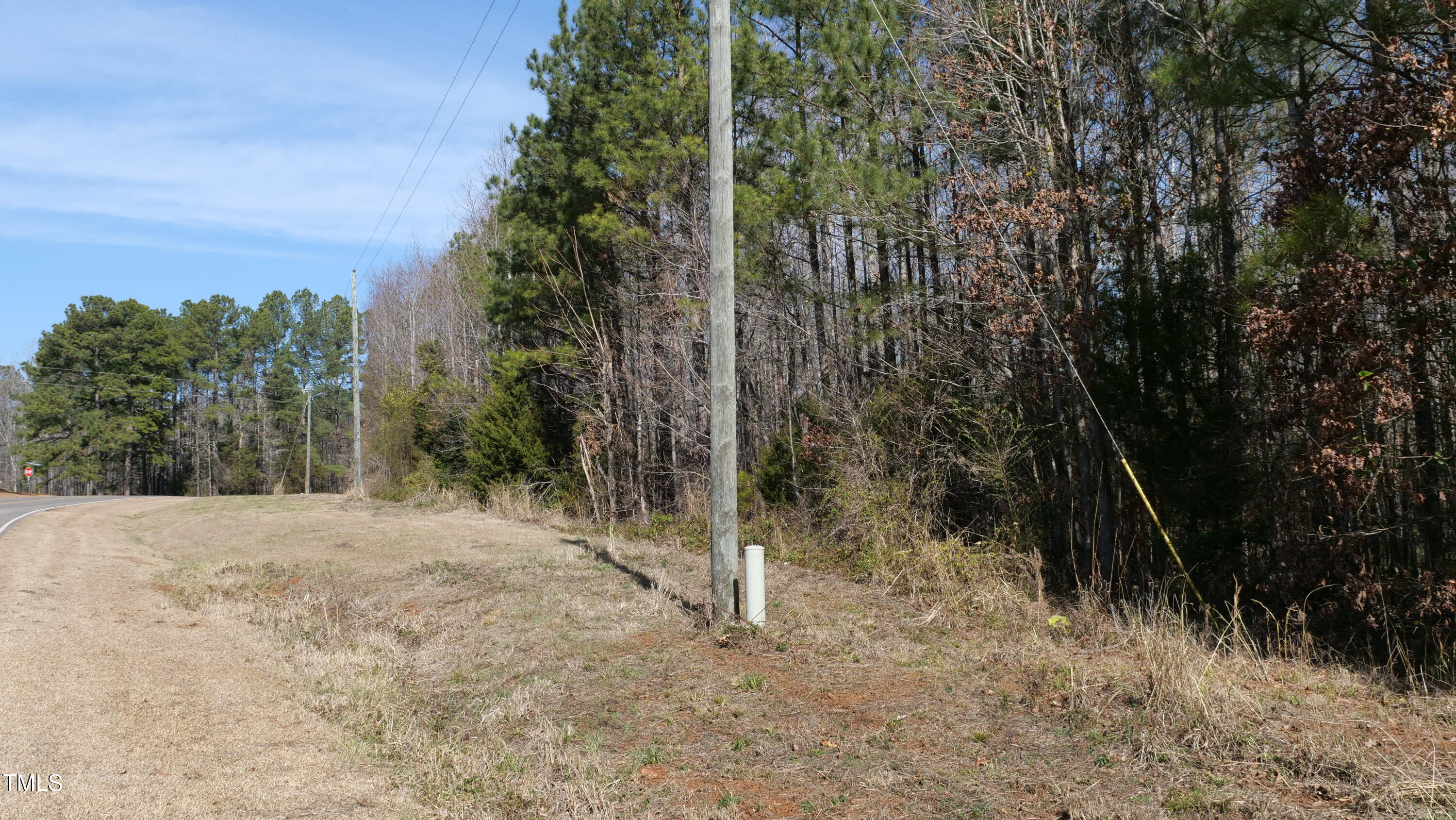 0 Beamon Hunt Road Property Photo 8