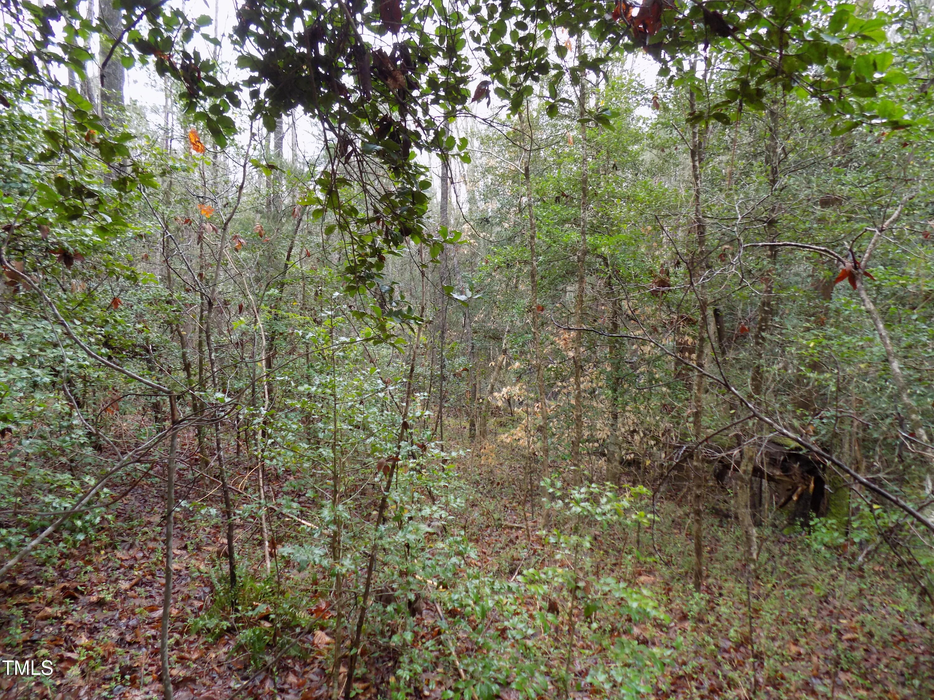 0 Beamon Hunt Road Property Photo 11