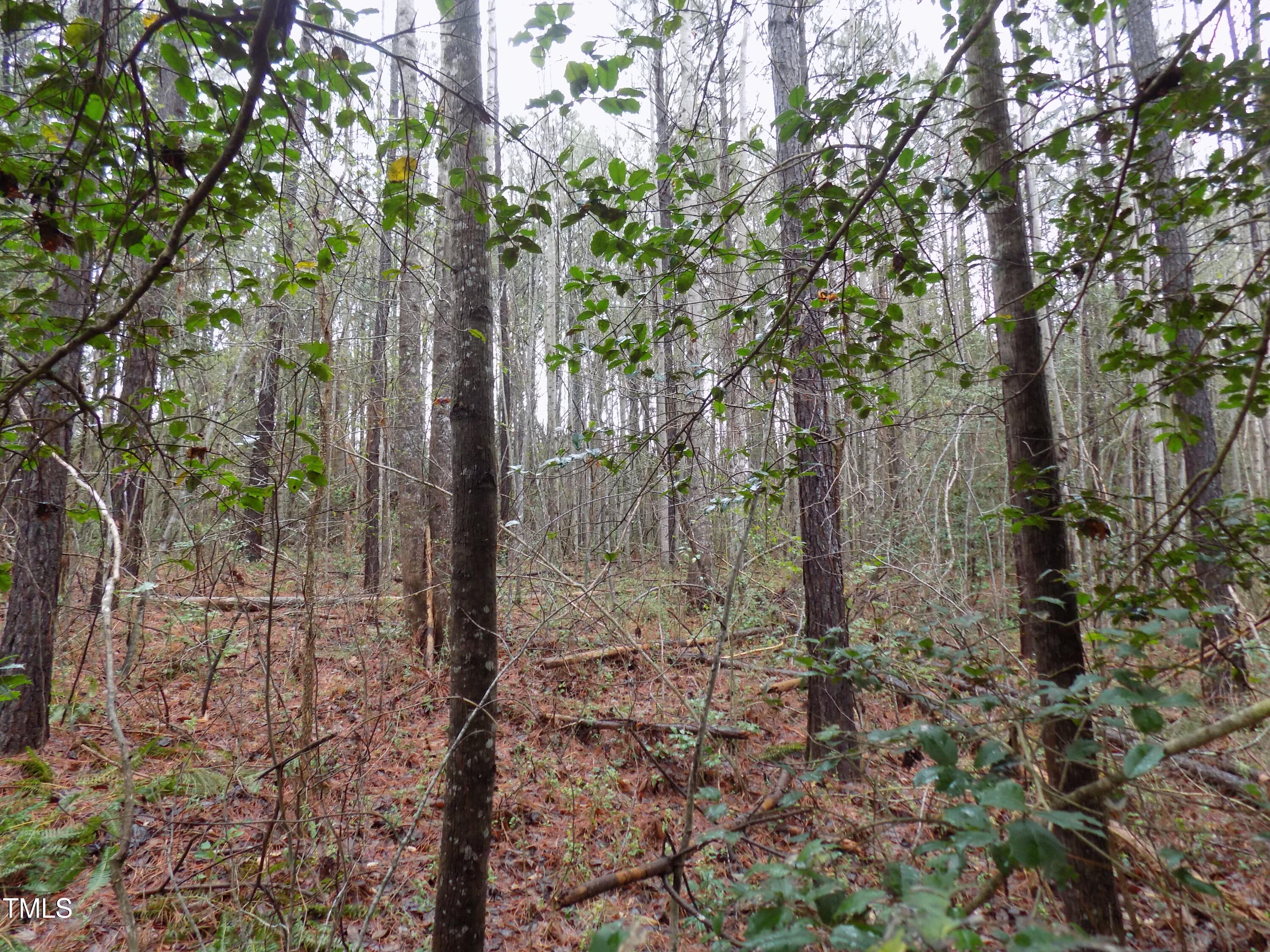 0 Beamon Hunt Road Property Photo 12