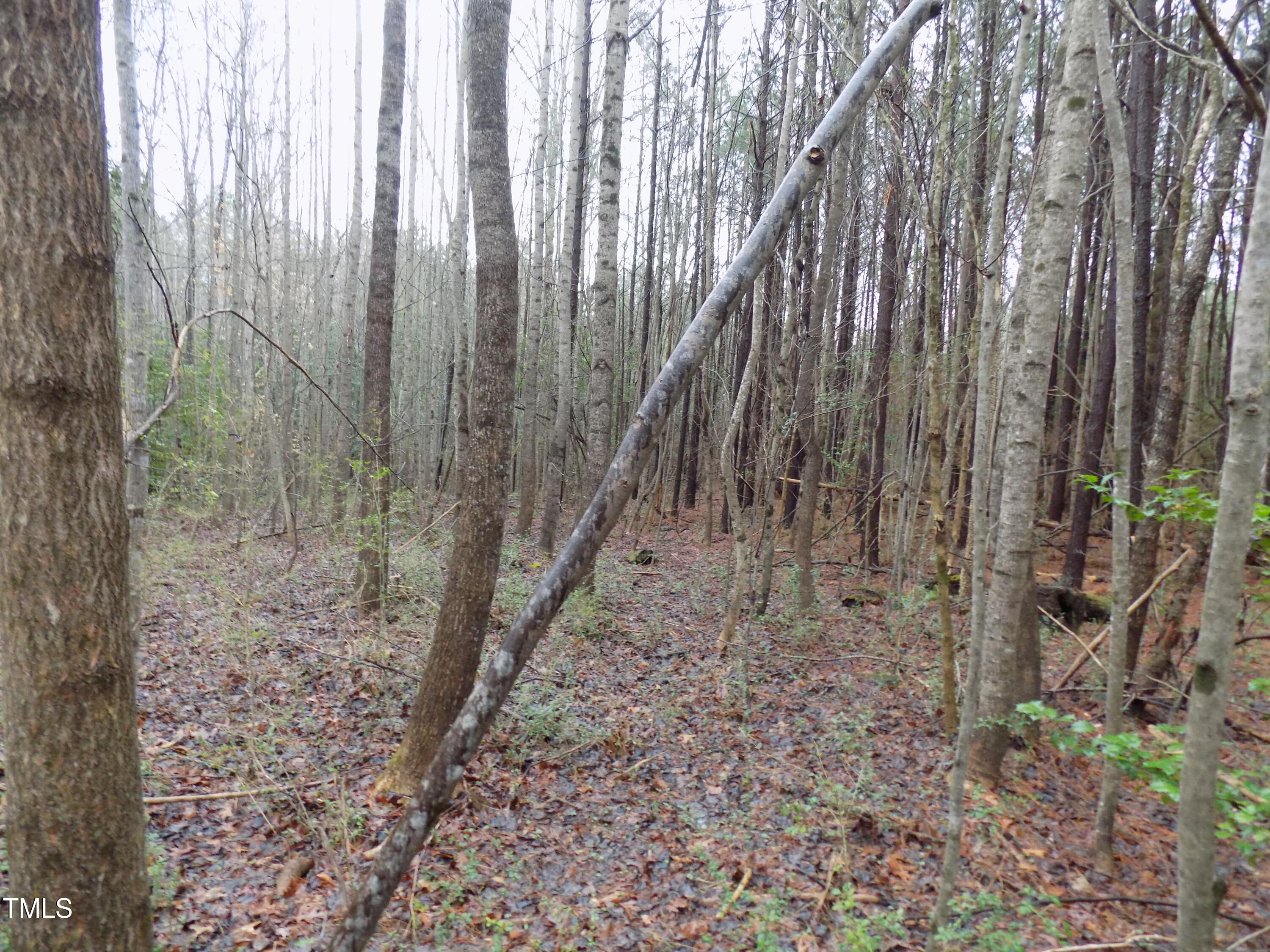 0 Beamon Hunt Road Property Photo 14